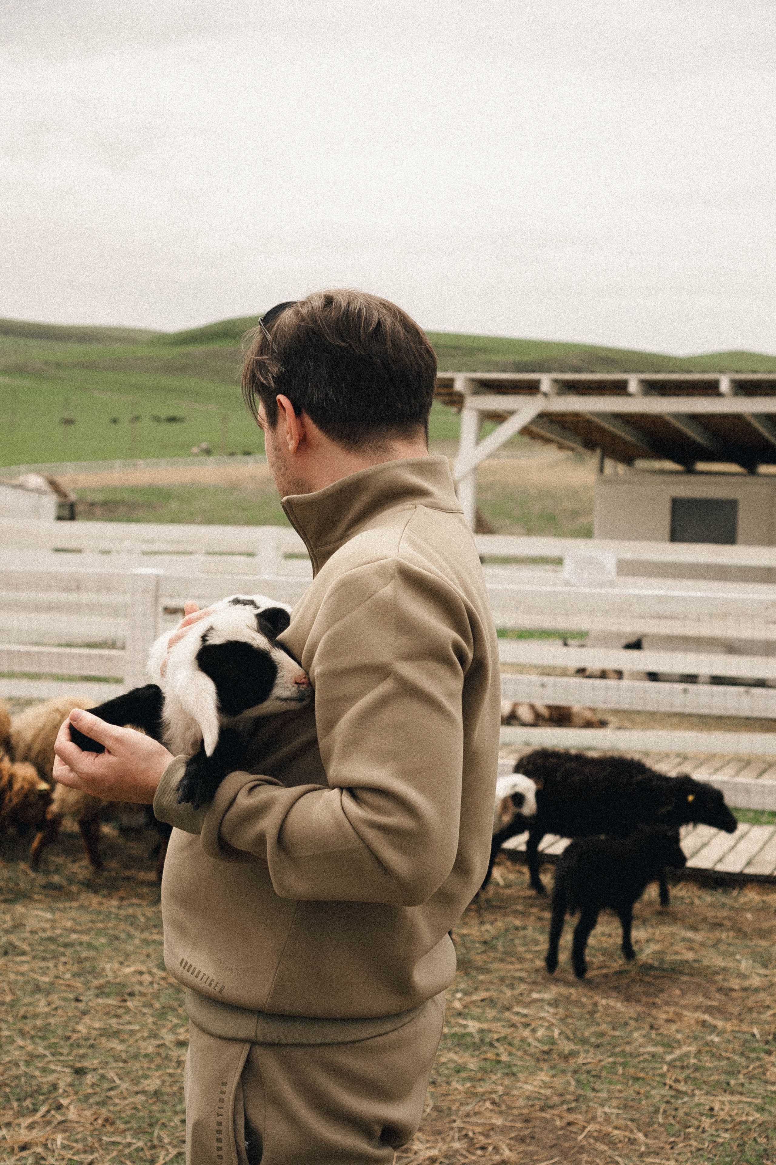 Ферма Альпак. Профессиональный фотограф, Санкт-Петербург — Виктория Богомолова