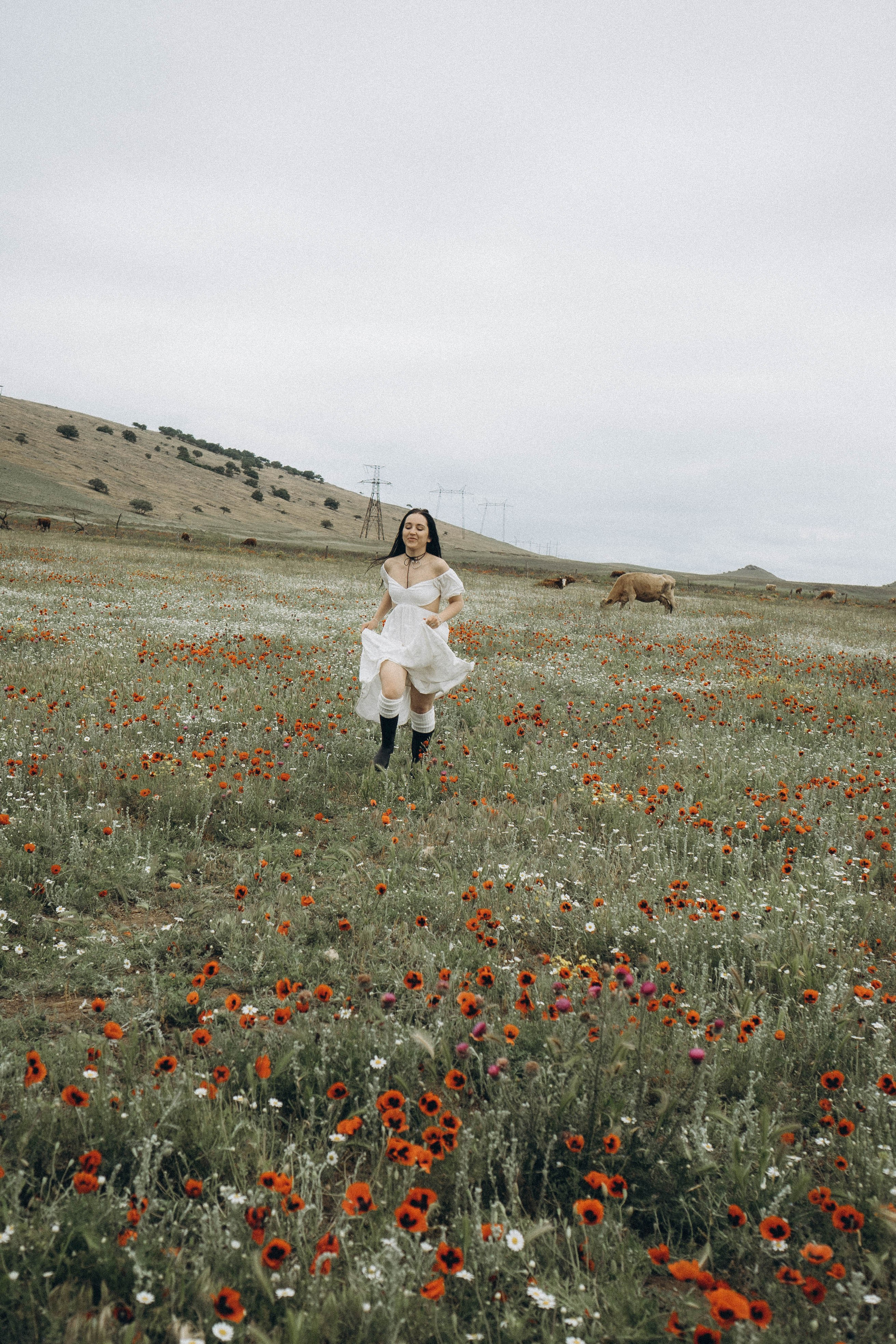 Маковое поле. Профессиональный фотограф, Санкт-Петербург — Виктория Богомолова