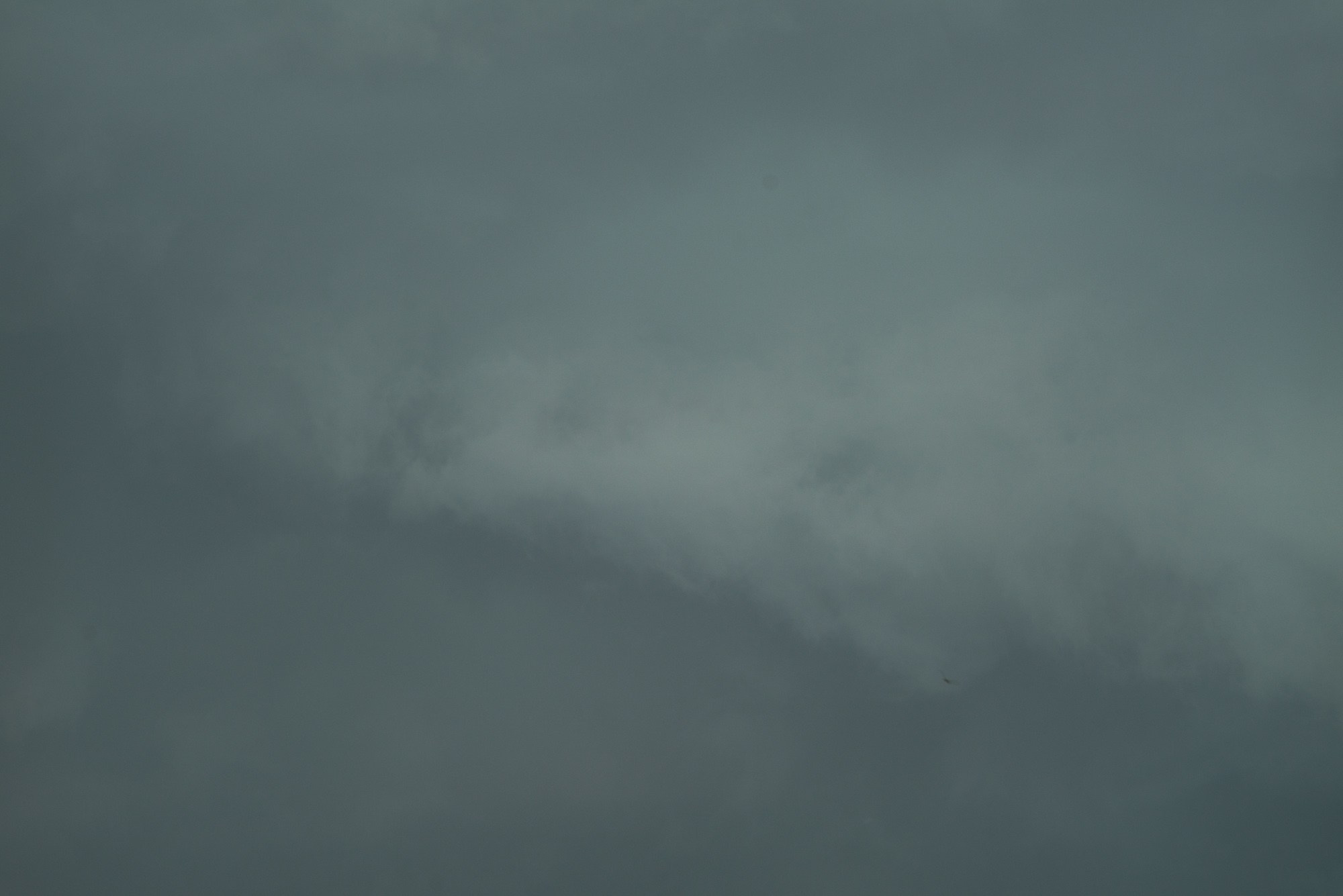 Formations. Пётр Антонов