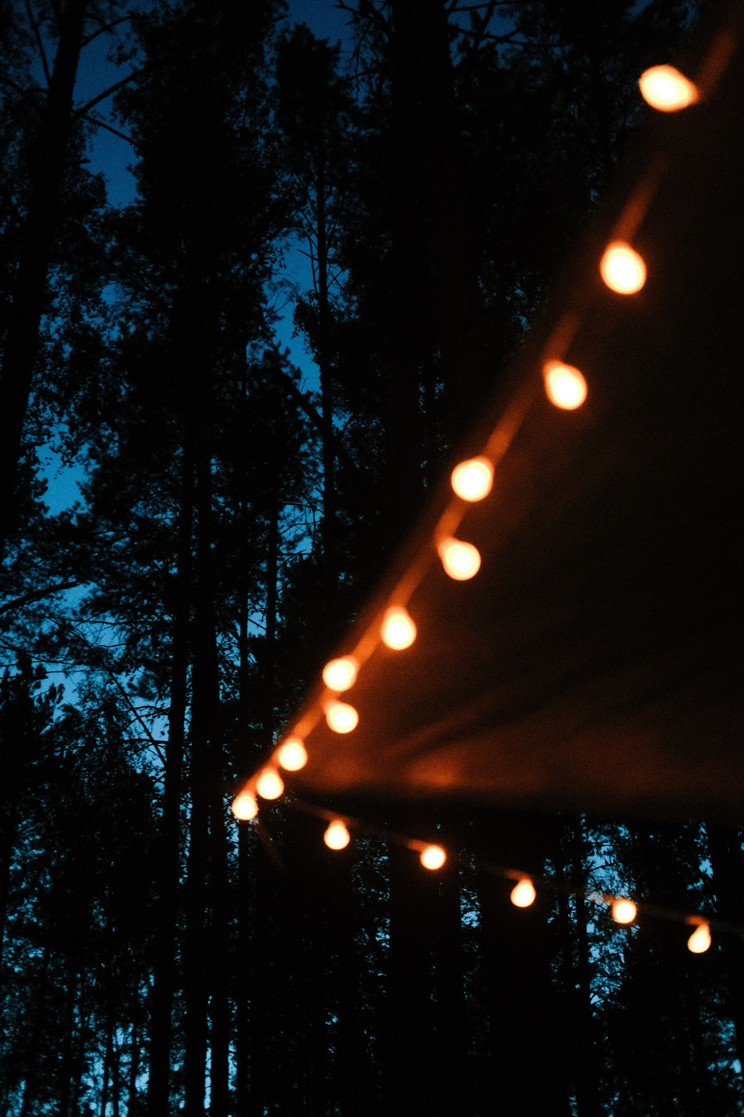 Red Lockers & Good Friends Trip Кемпинг. Обо мне