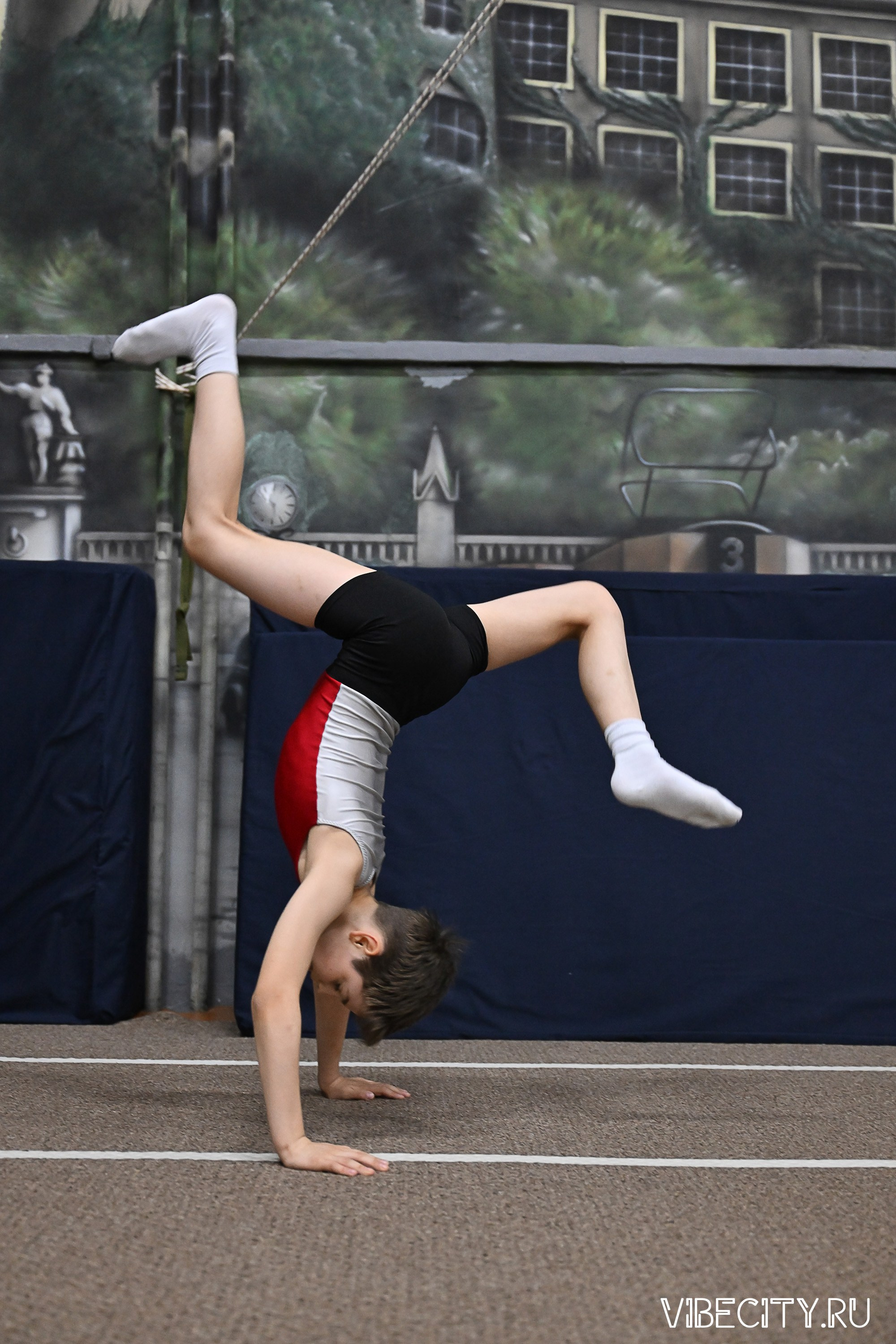 Контрольная тренировка по спортивной гимнастике. VIBECITY.RU Вайб Сити Ру Фоторепортажи Фотоотчеты Калининград