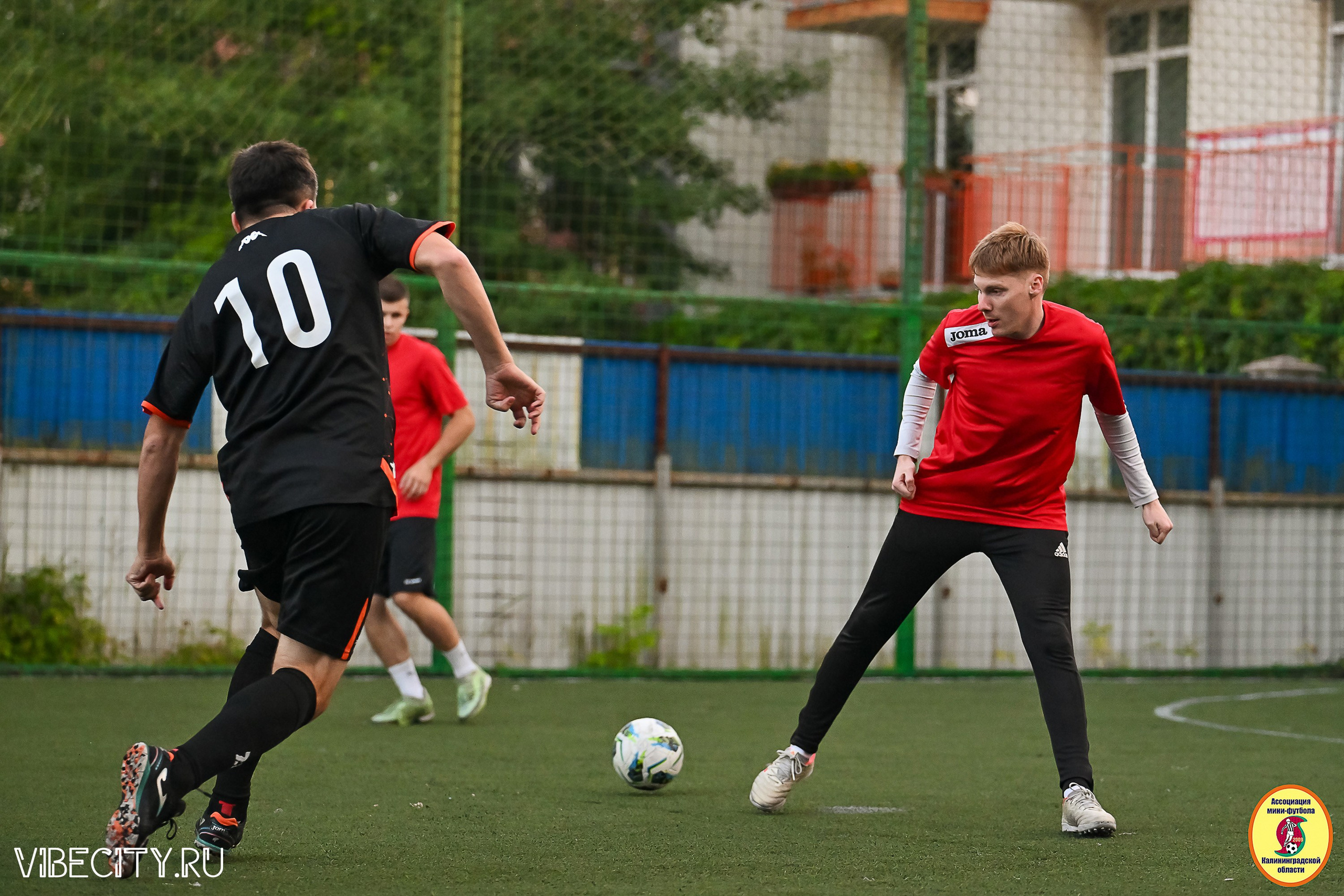 ИГРЫ ПЛЕЙ-ОФФ ПЕРВОГО ДИВИЗИОНА МИНИ-ФУТБОЛЬНОЙ ЛИГИ. VIBECITY.RU Вайб Сити Ру Фоторепортажи Фотоотчеты Калининград