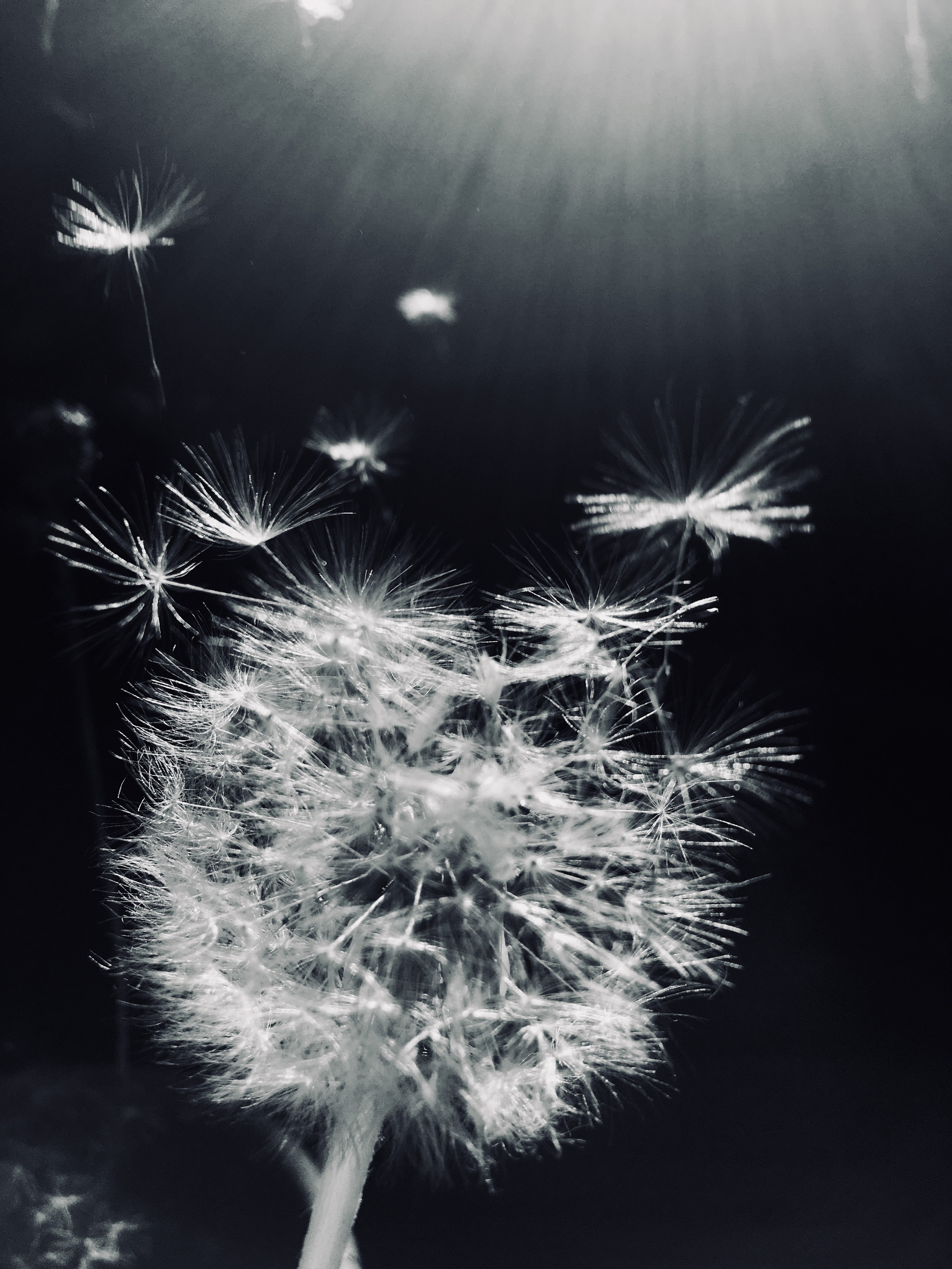 Фотографии. Детский и семейный фотограф Зоя Павкина