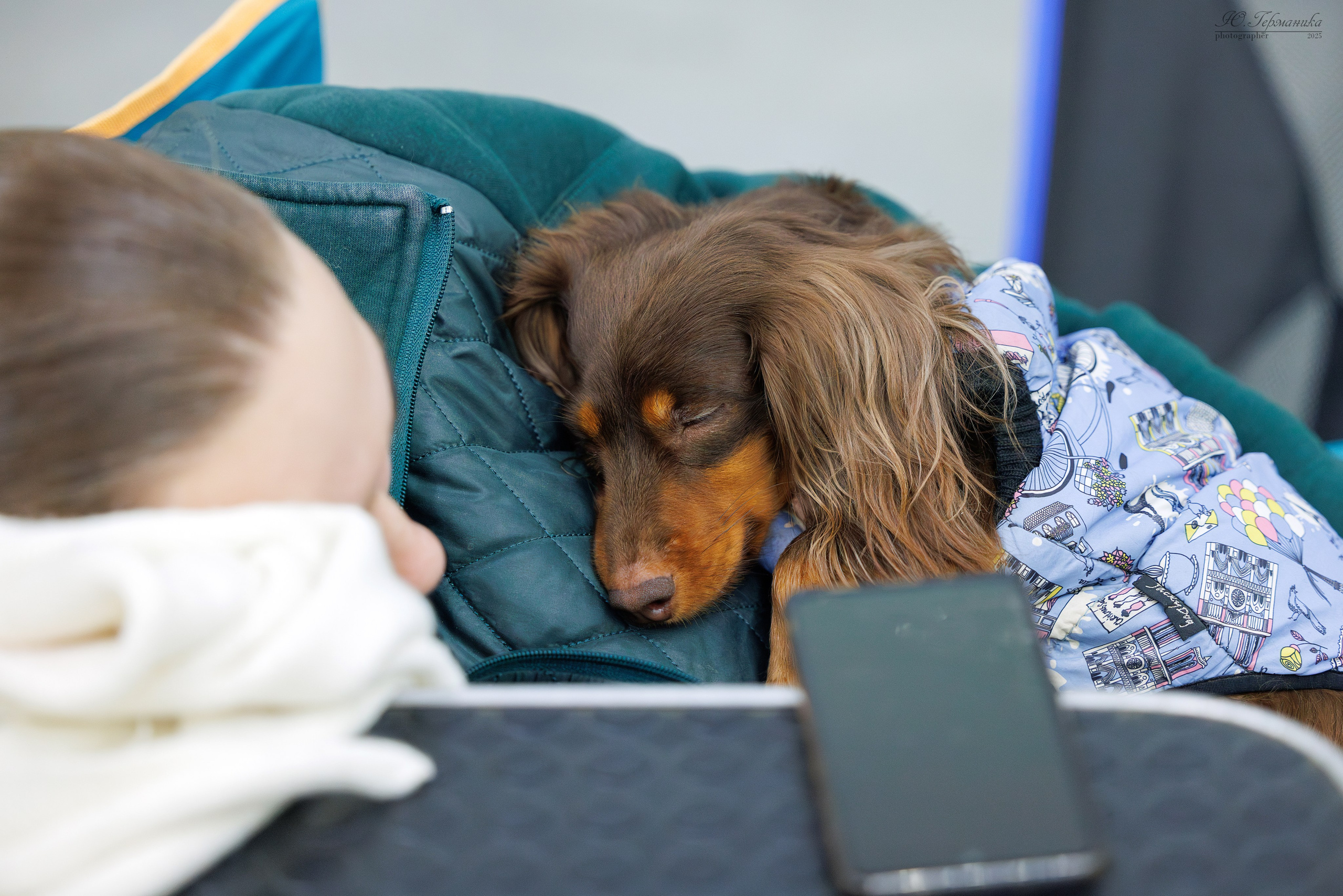 Сабанеевка Казань 25-26.01.2025. Фотограф-анималист Юлия Германика