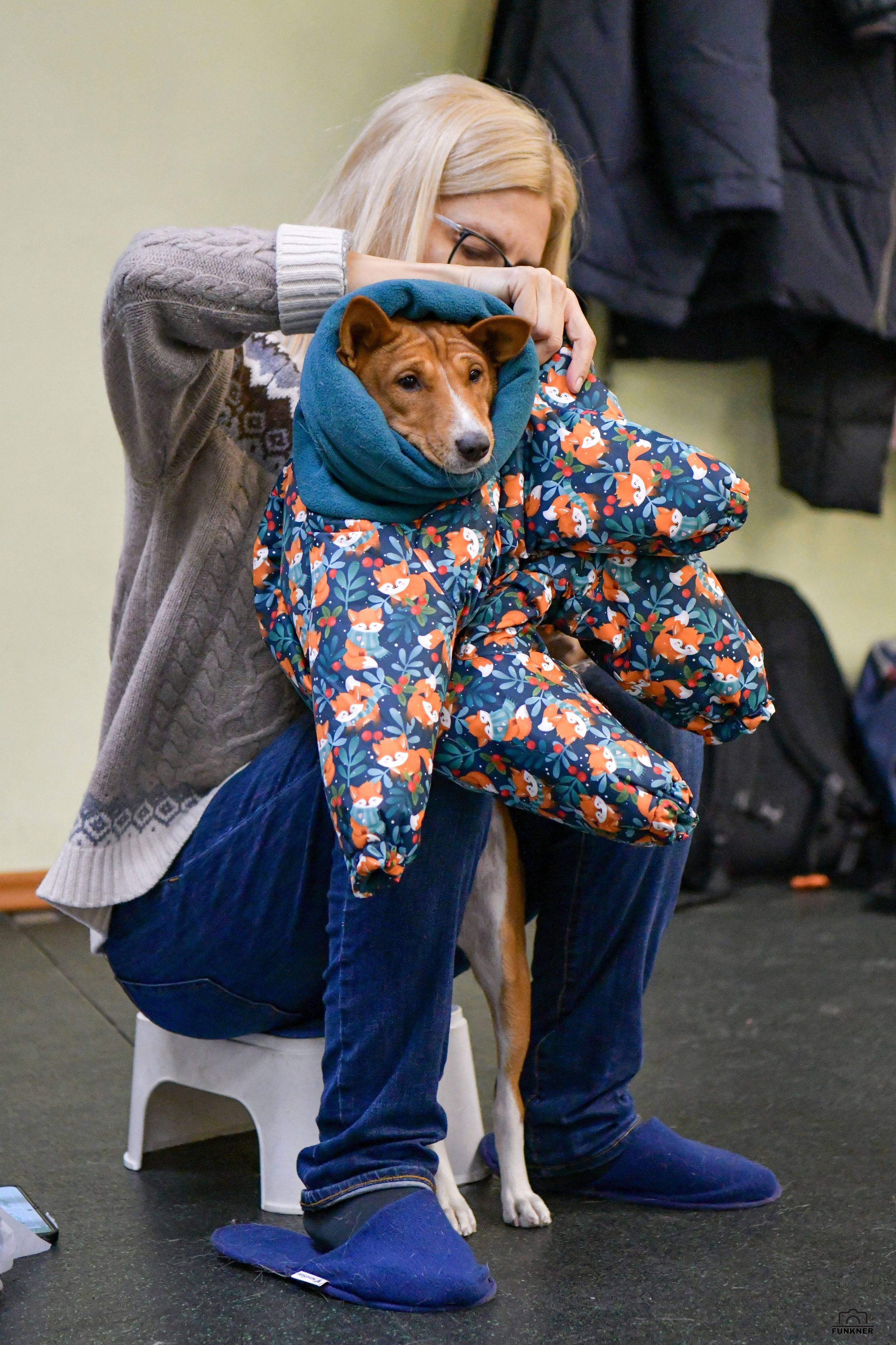 Кинологический клуб «Бодрый хвост». Свой взгляд через объектив