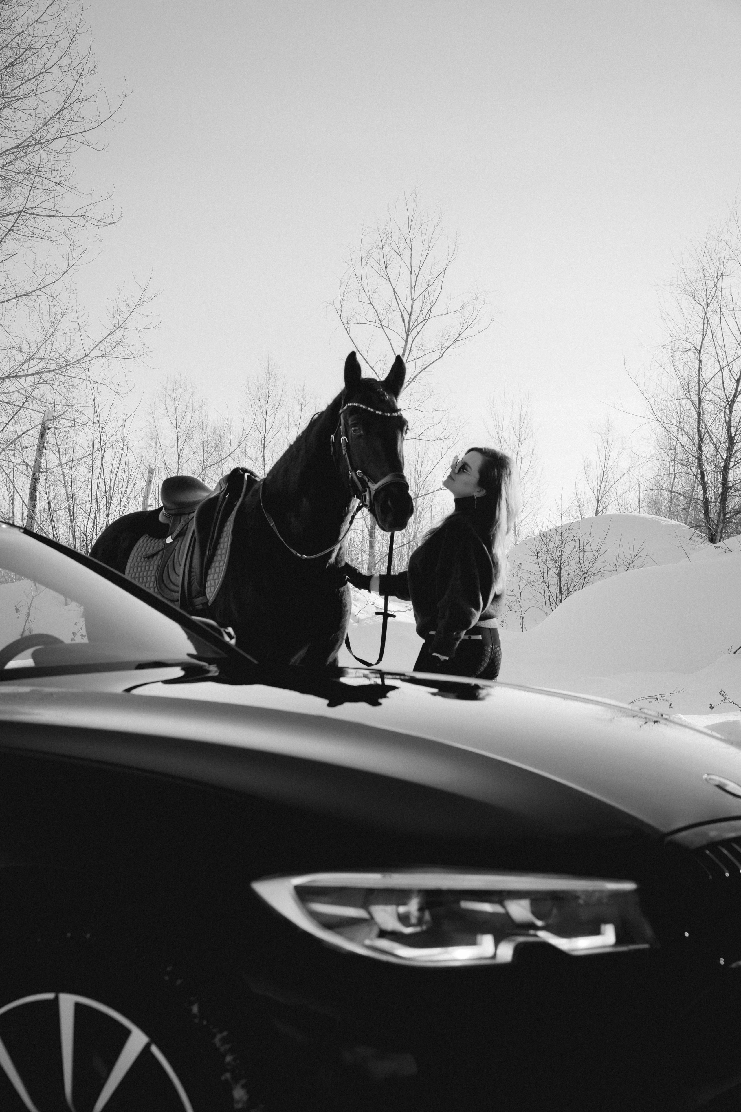 BMW G20 with horse. Автомобильный фотограф и видеограф в Новосибирске|Александра Косухина