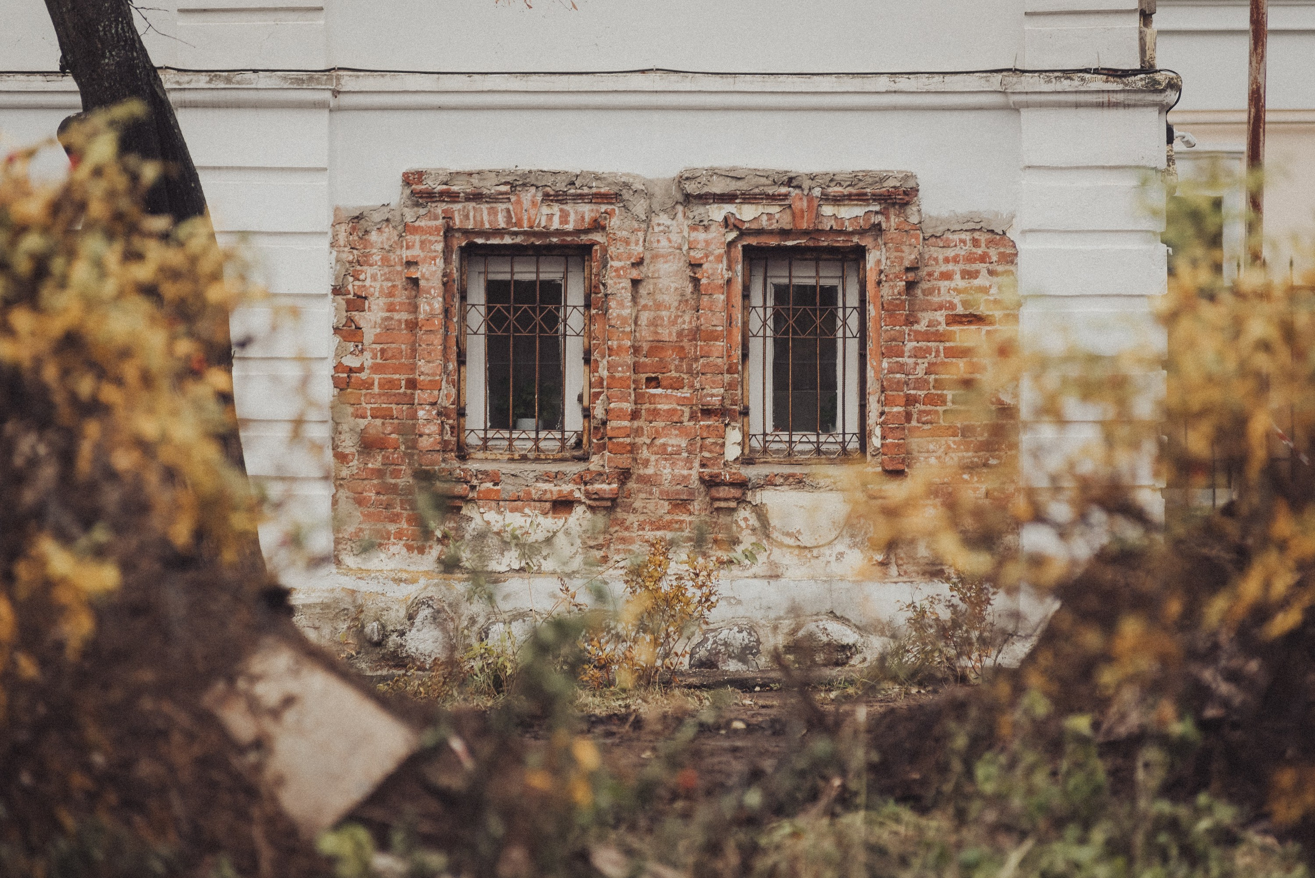 Проект #улицыгорода. Ярославль, улица Волкова. Документальный фотограф Илья Тихановский