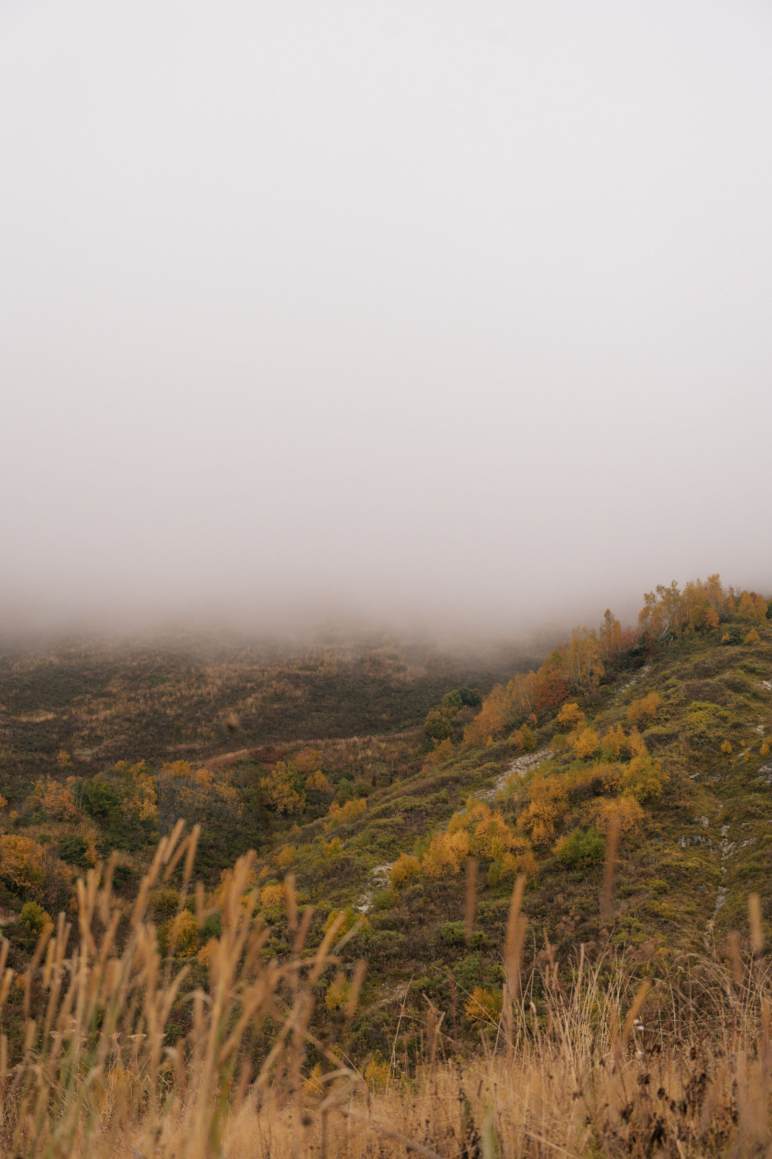 Выше гор только любовь. Свадебный и семейный фотограф Вероника Холод