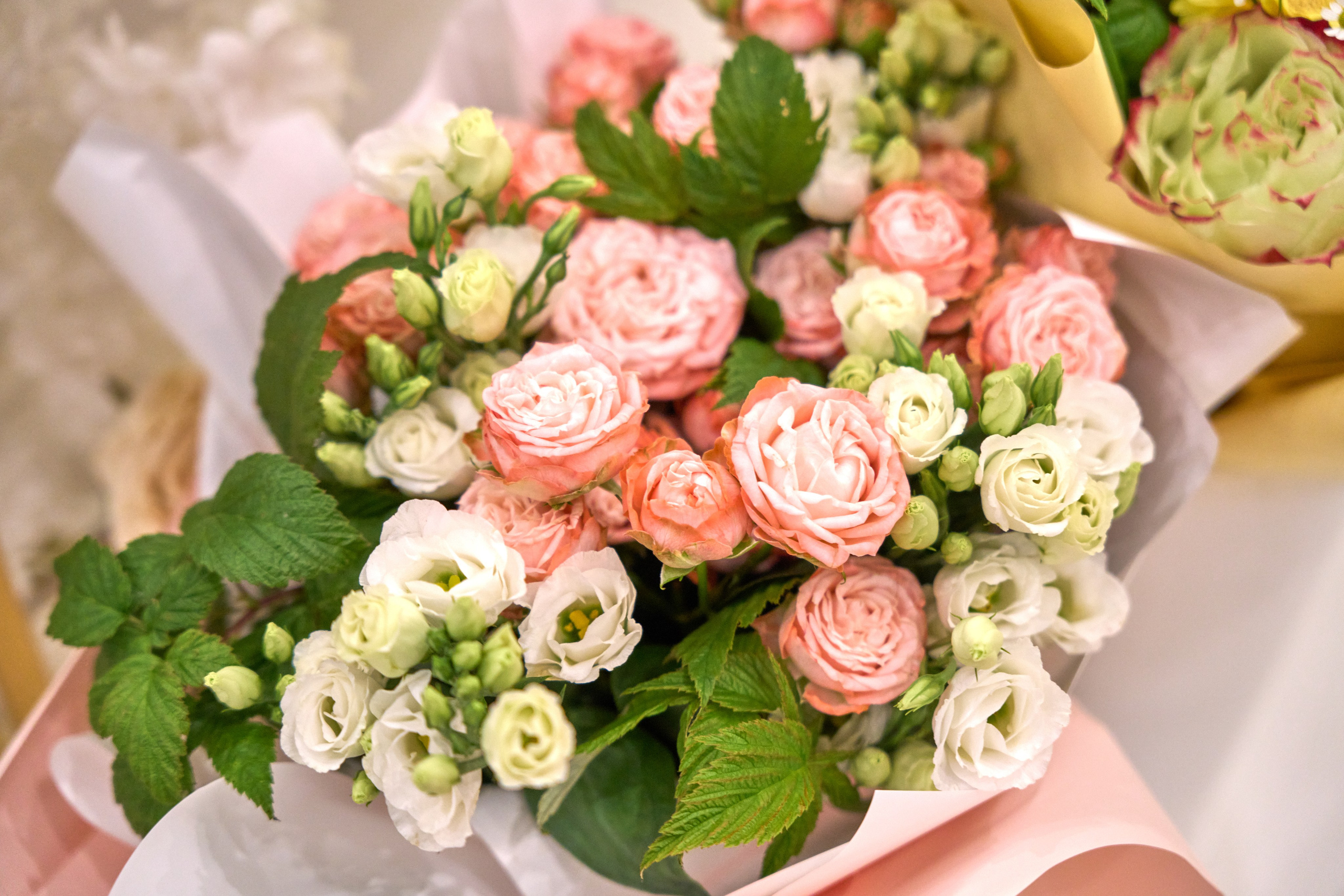 Свадебная съёмка. Фото и видеосъёмка в Ярославле | Грибов Медиа контент студия  — от 2500 ₽/час