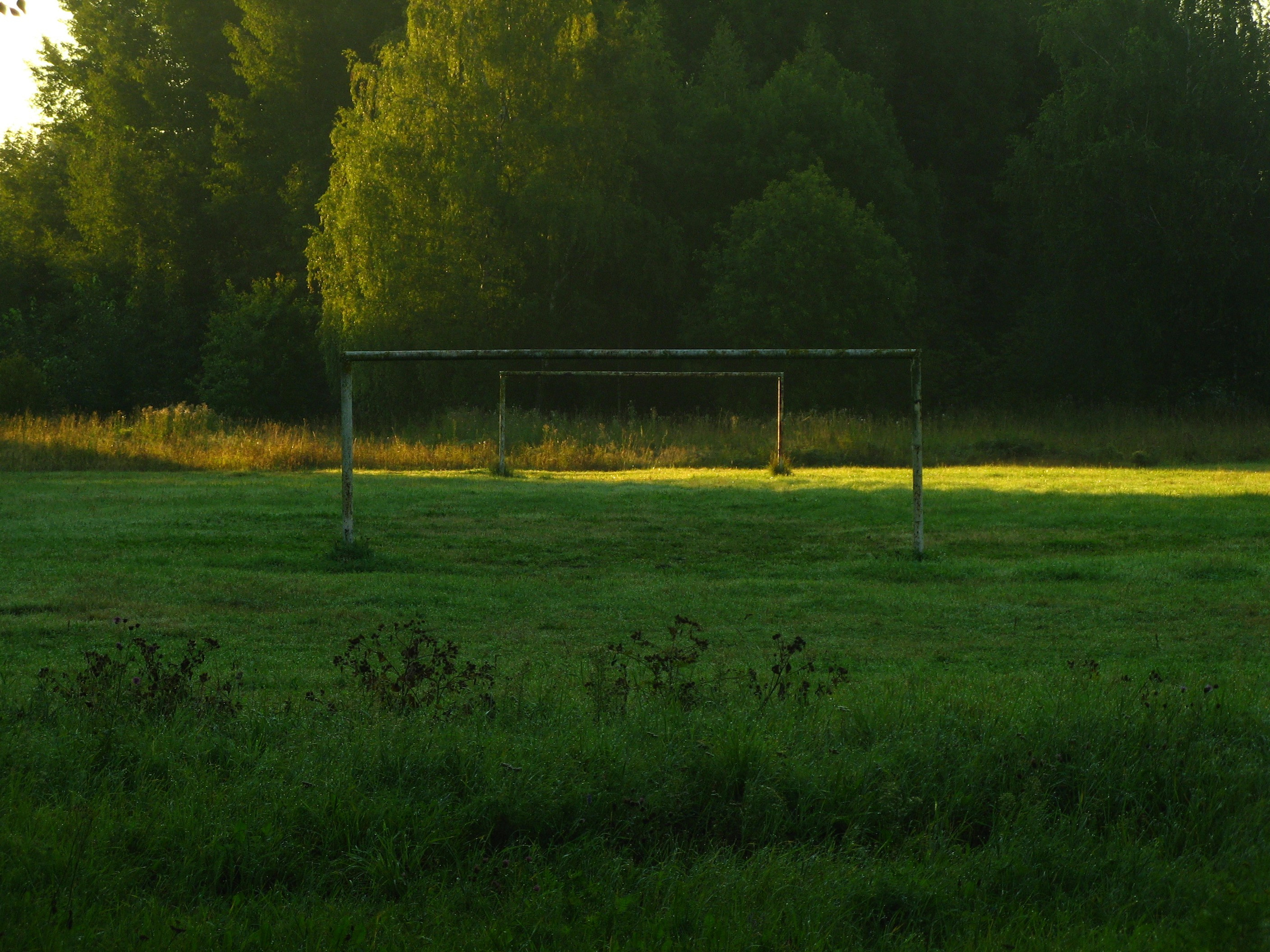 Август 2025. Den Mirov — Фотограф, Музыкант