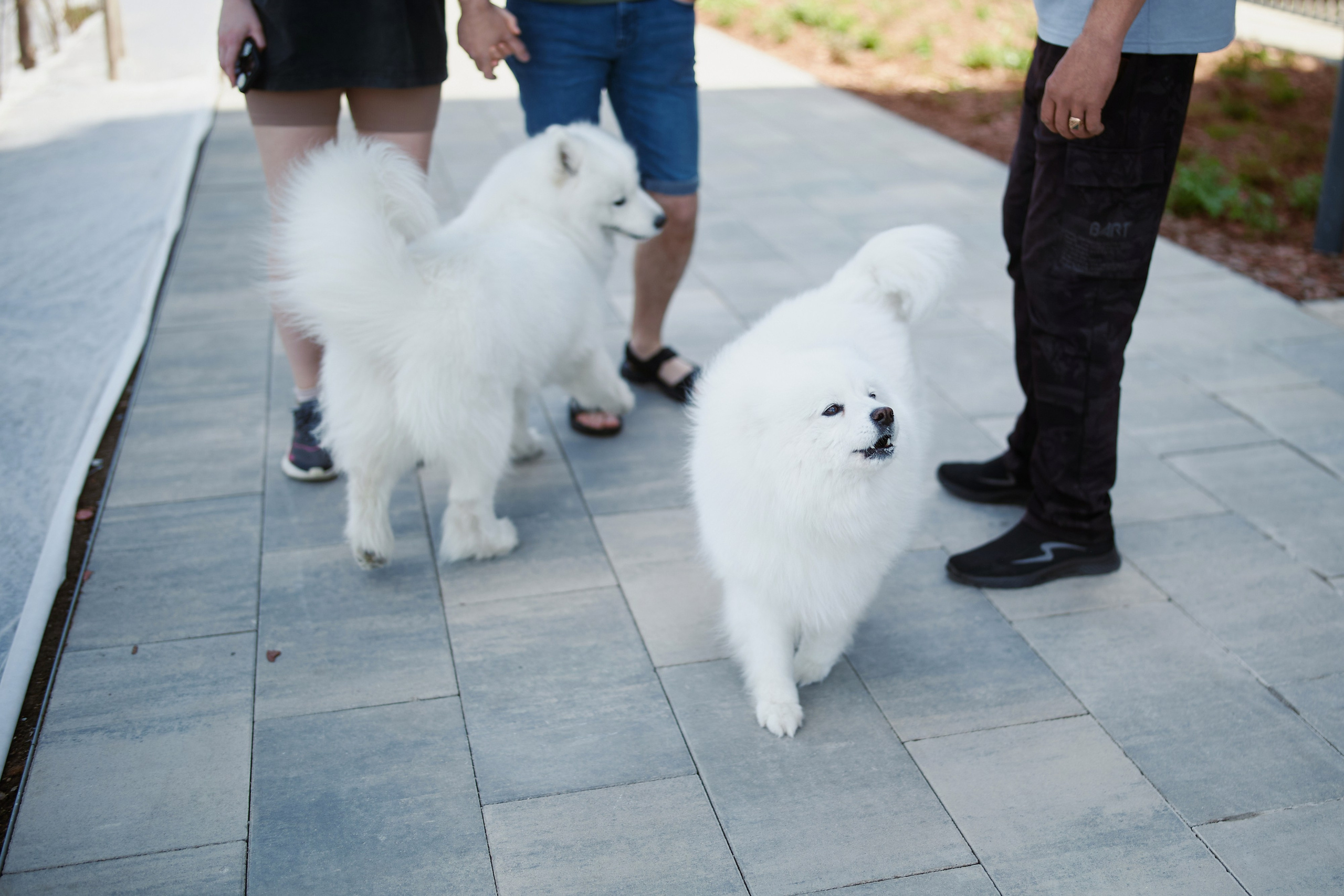 ЖК Полюса. ФОТОГРАФ НА МЕРОПРИЯТИЕ ОТ СОЛЬ МЕДИА PRODUCTION