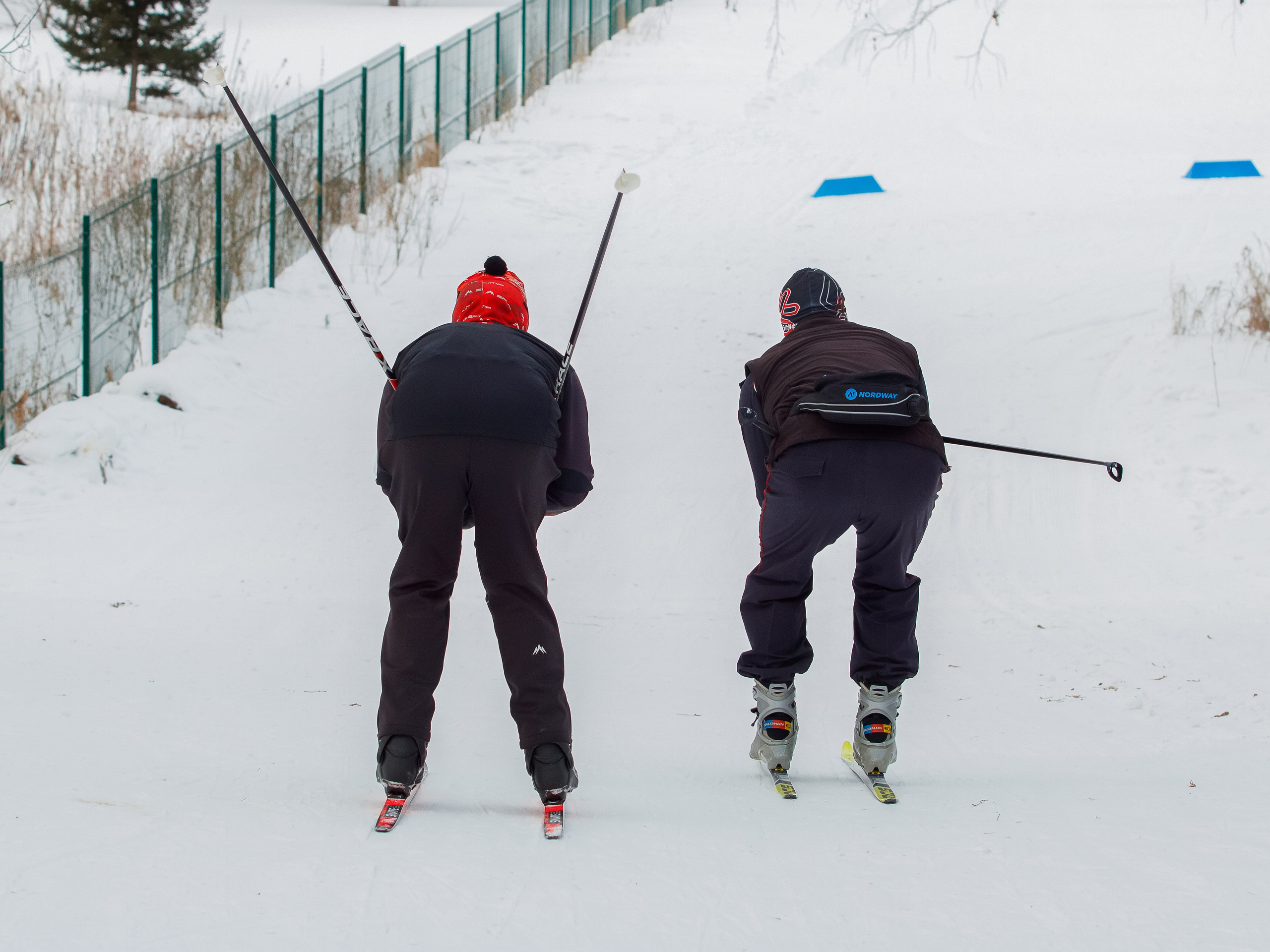 Лыжные соревнования. LeChuPhoto_Omsk
