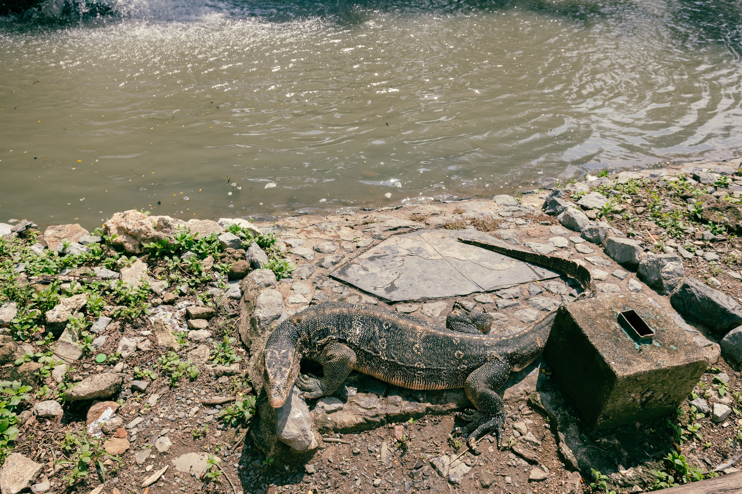 Bangkok. Фотограф Сонкина Татьяна