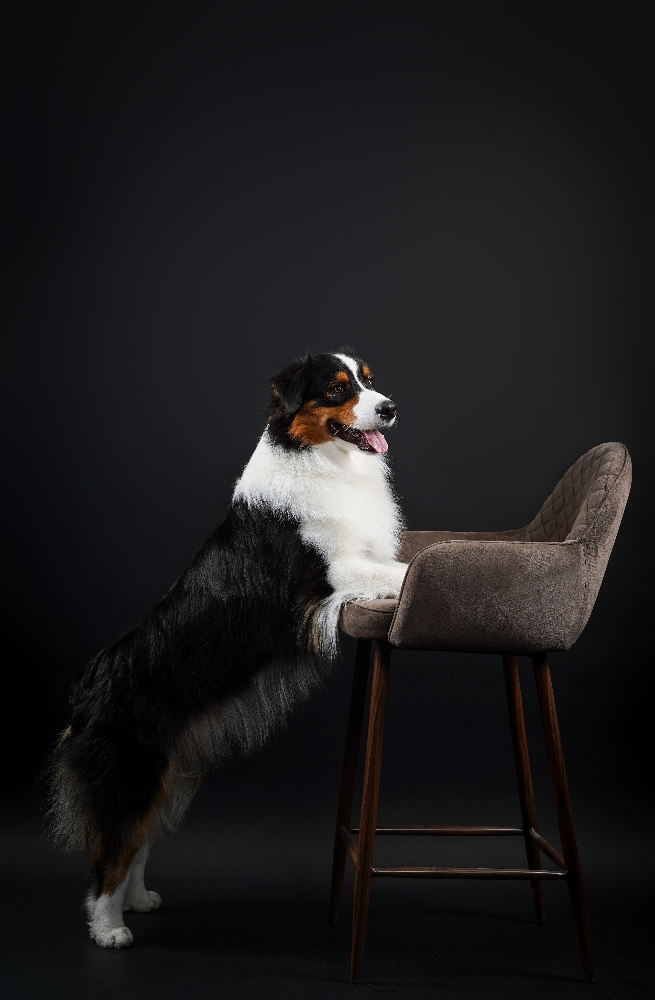 Аусси Бэст. Фотограф-анималист в Санкт-Петербурге Яна Мартынова