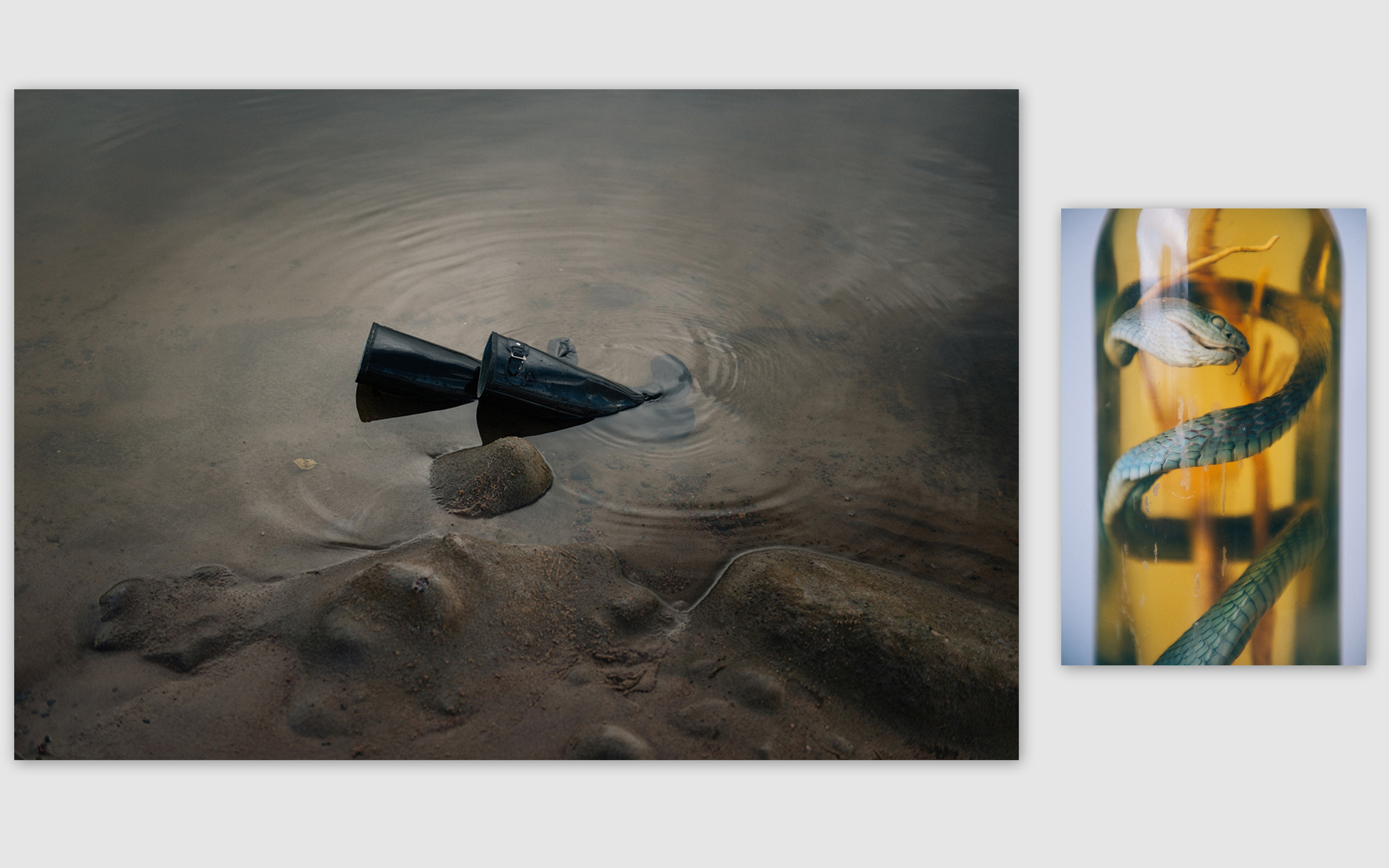 Юлия Павлова