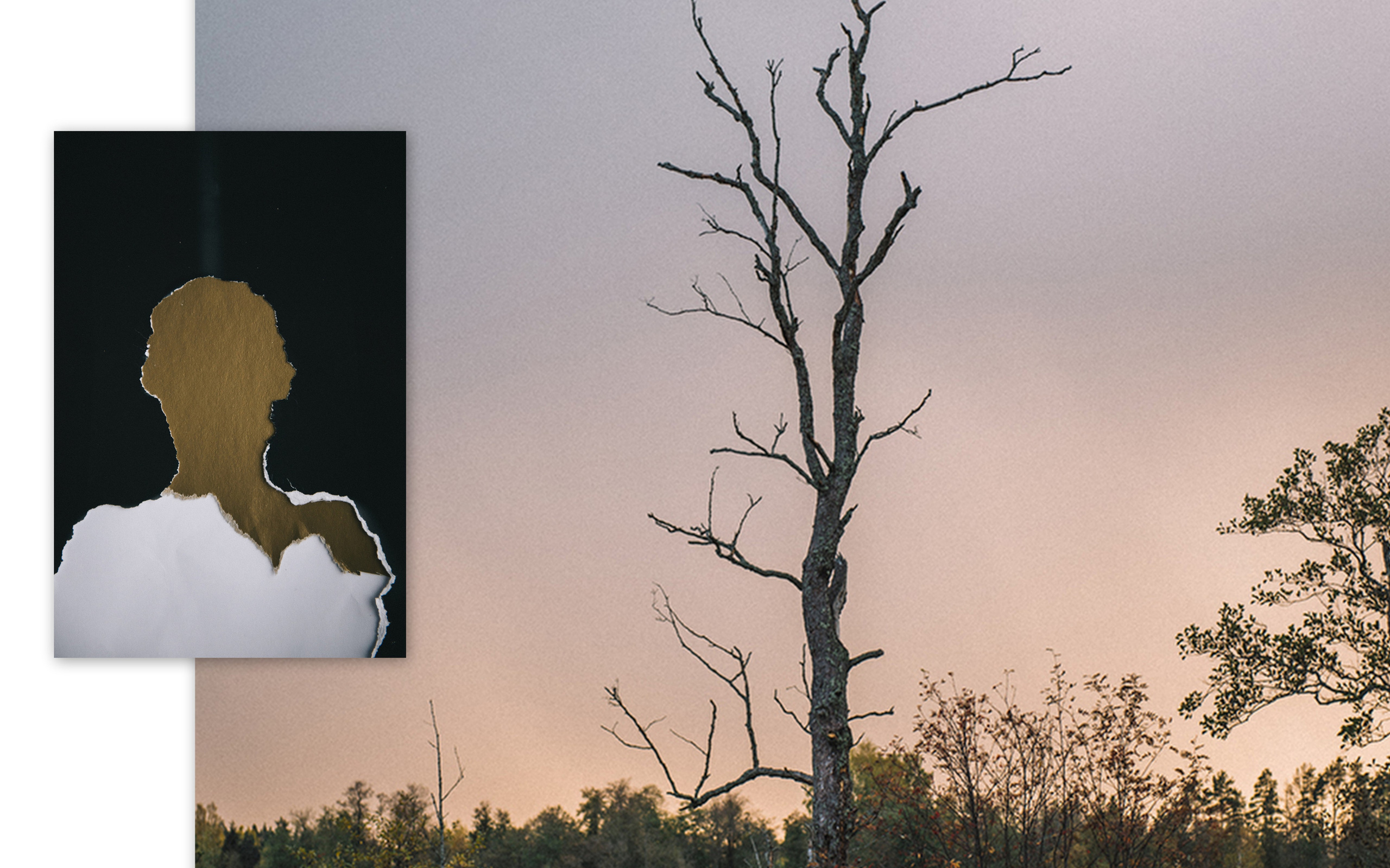 Юлия Павлова