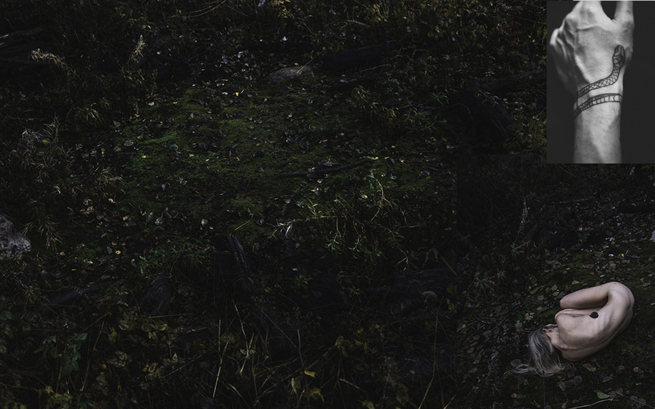 Юлия Павлова