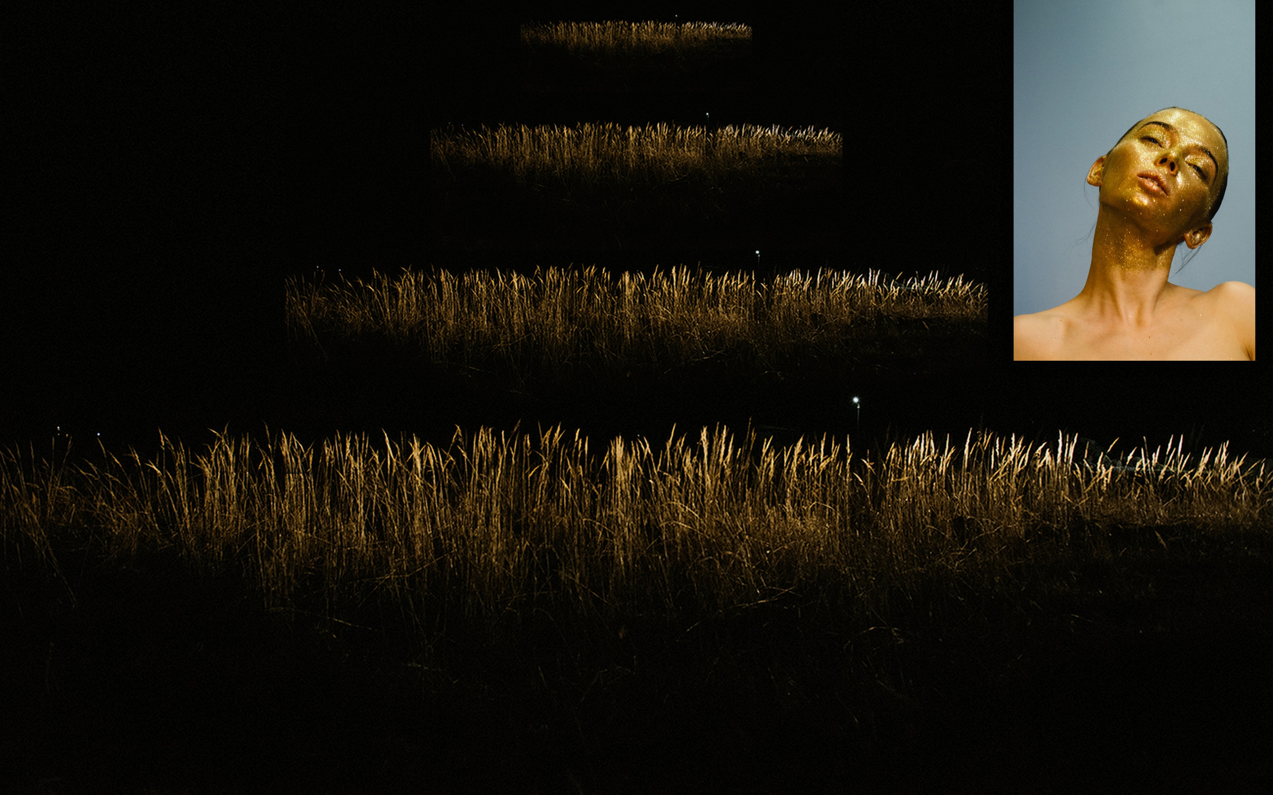 Юлия Павлова