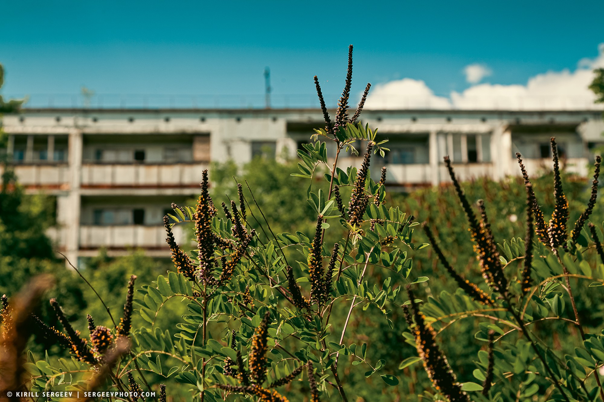 40 лет аварии на ЧАЭС. Поездка в зону отчуждения. 攝影師 基里爾·謝爾蓋耶夫 |莫斯科