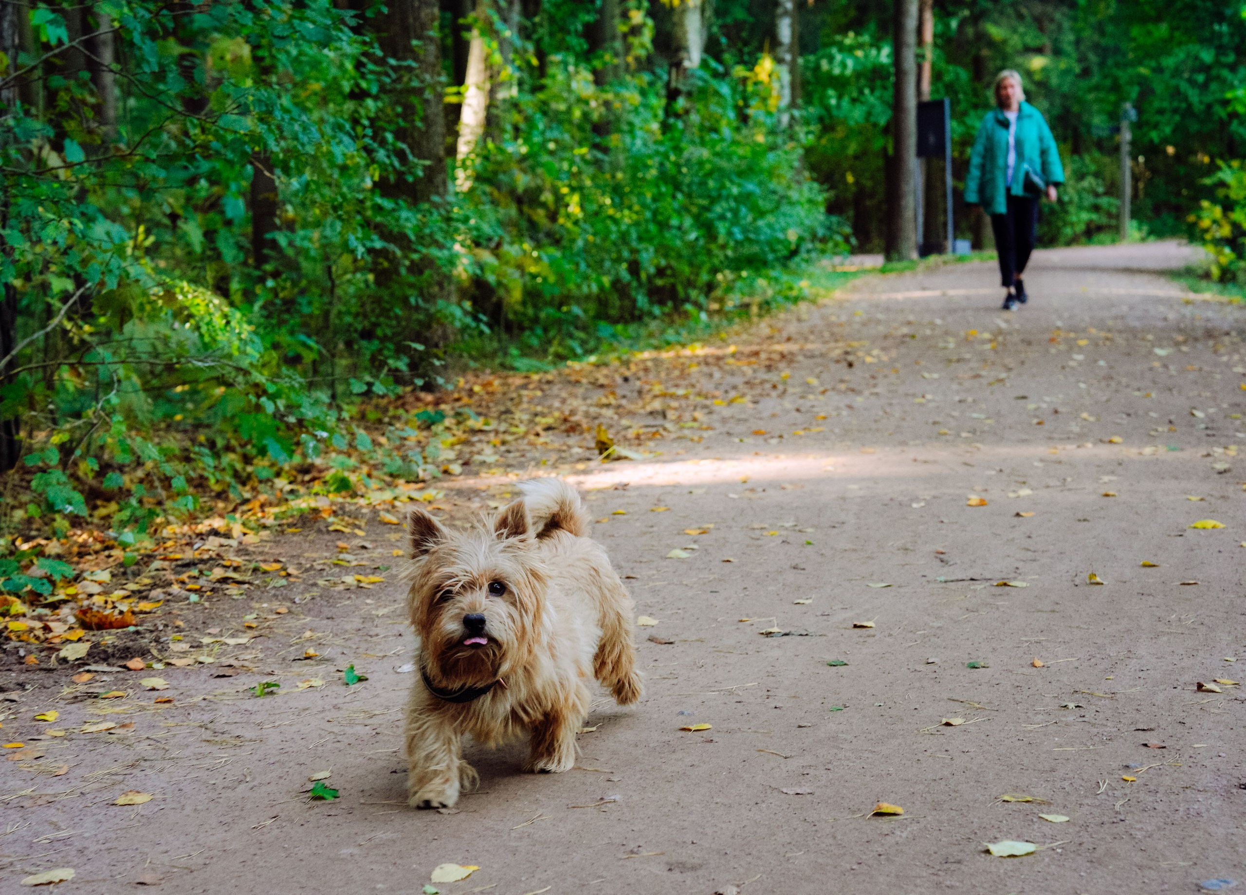 Осень 2025. Фотограф из Москвы — DASHA NOVA | Авторская фотография в разных жанрах