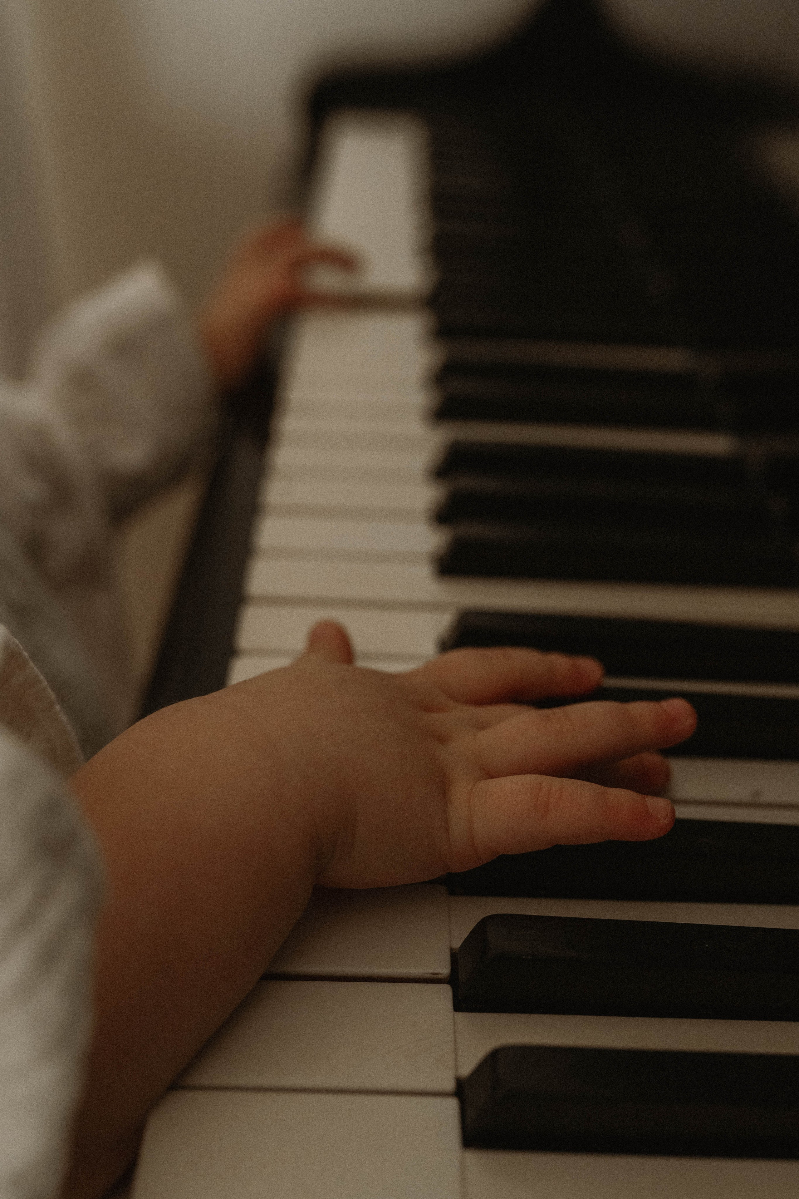 Вика, Адель и Анисия. Семейный фотограф Юлия Котова