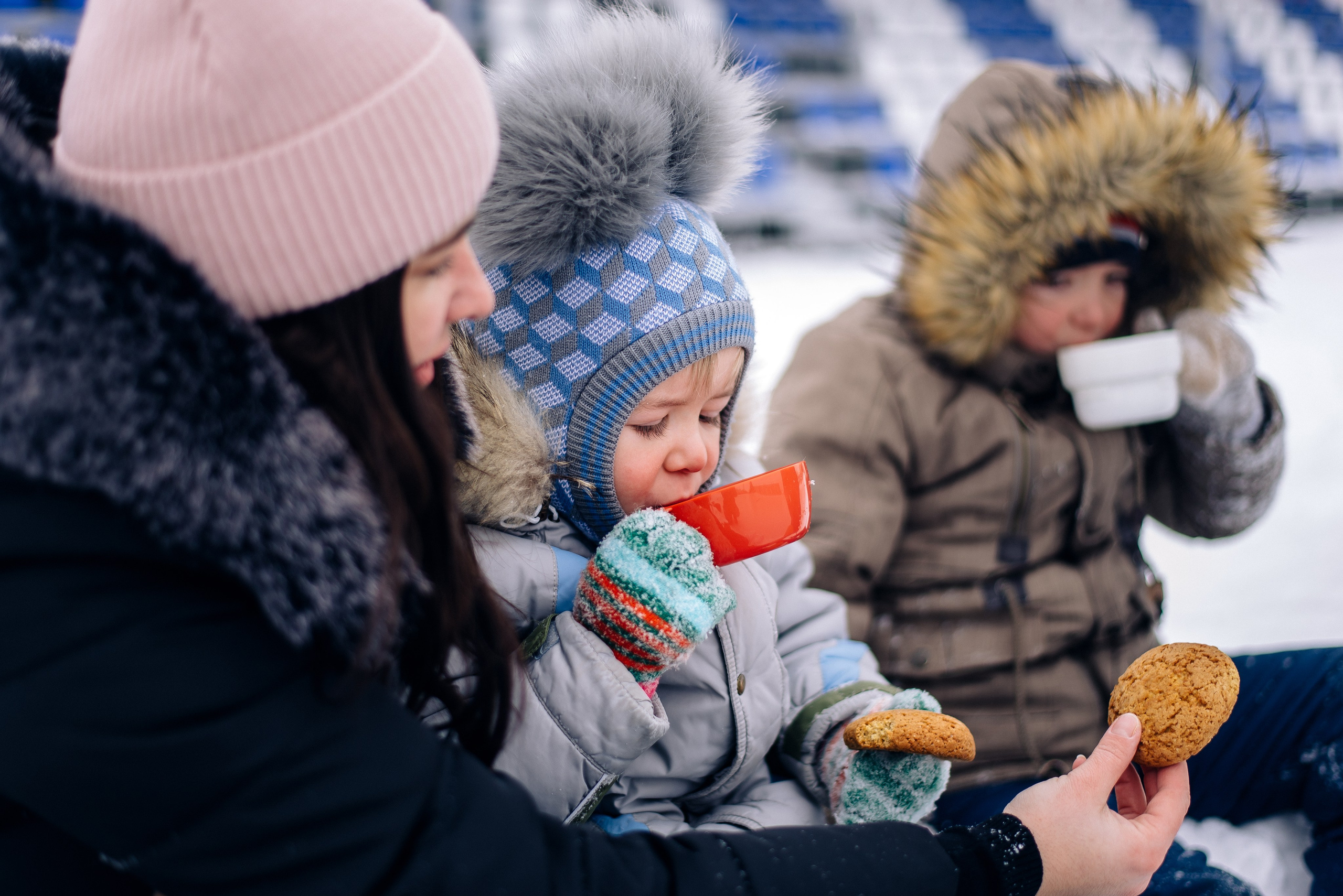 Коньки. Фотограф — МАРИЯ МЕДВЕДЕВА