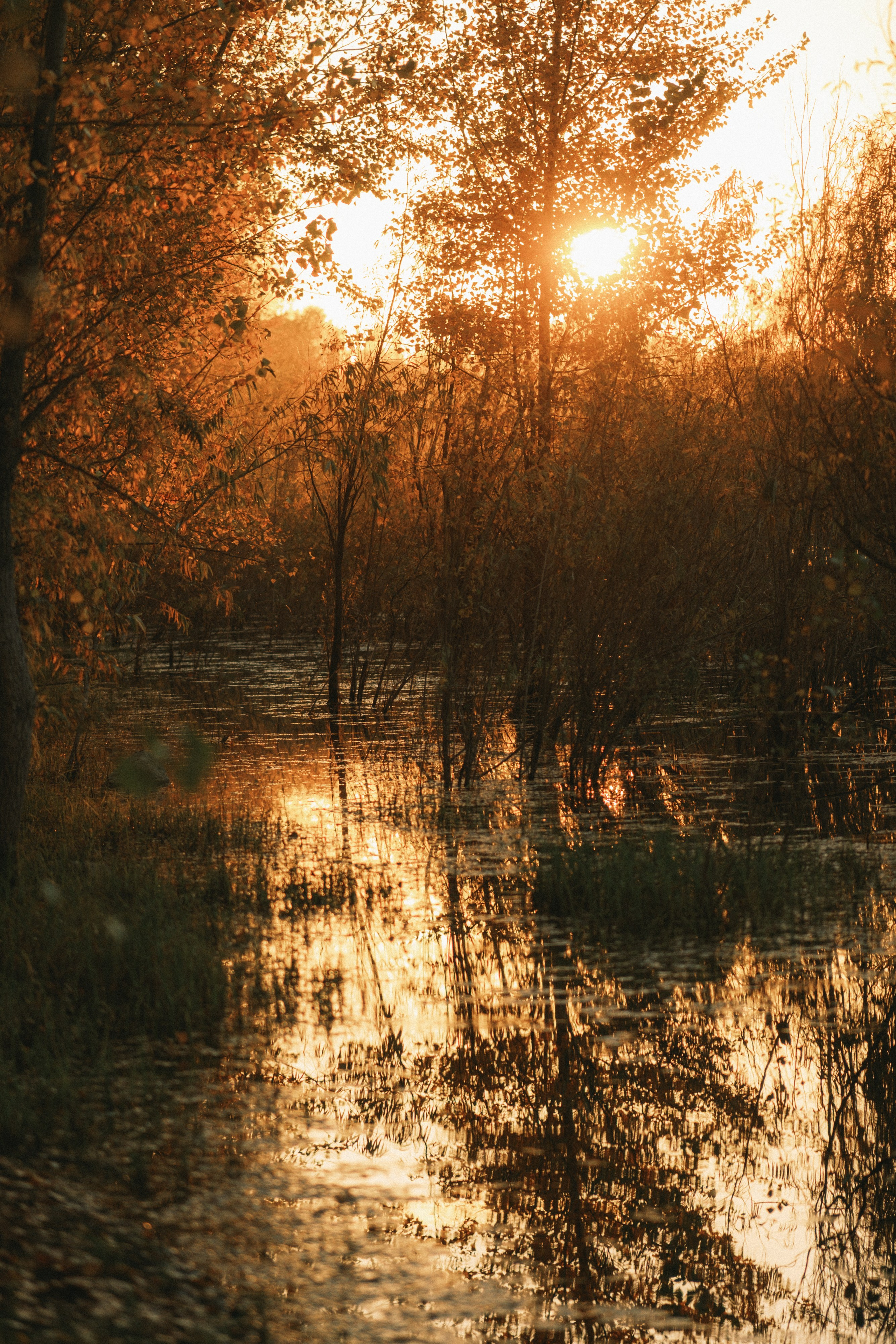 Осень и гребной канал. Свадебный и семейный фотограф Барнаул Рубцовск Бийск Алтайский край