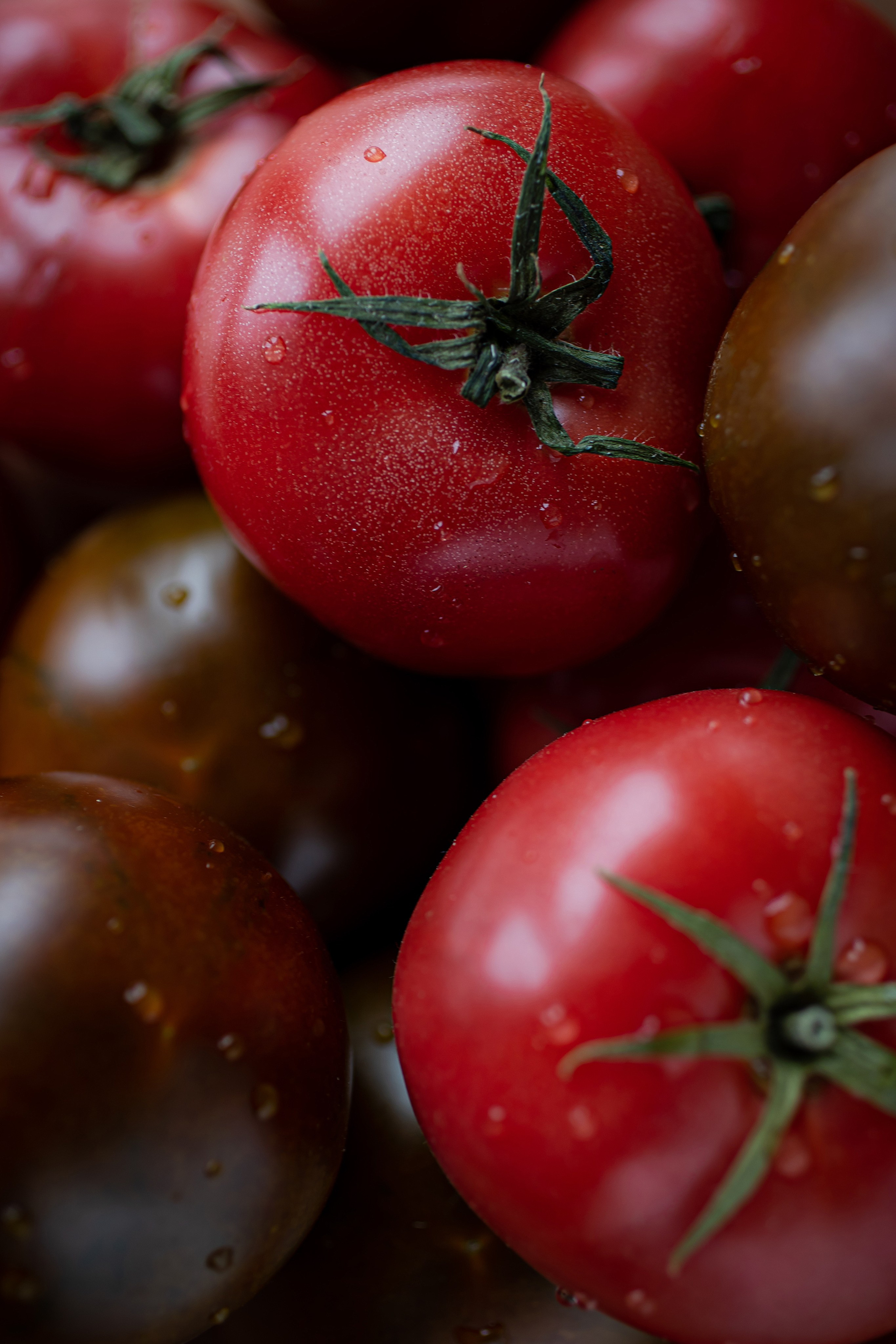 LEVELS. Фотограф Агеева Мария