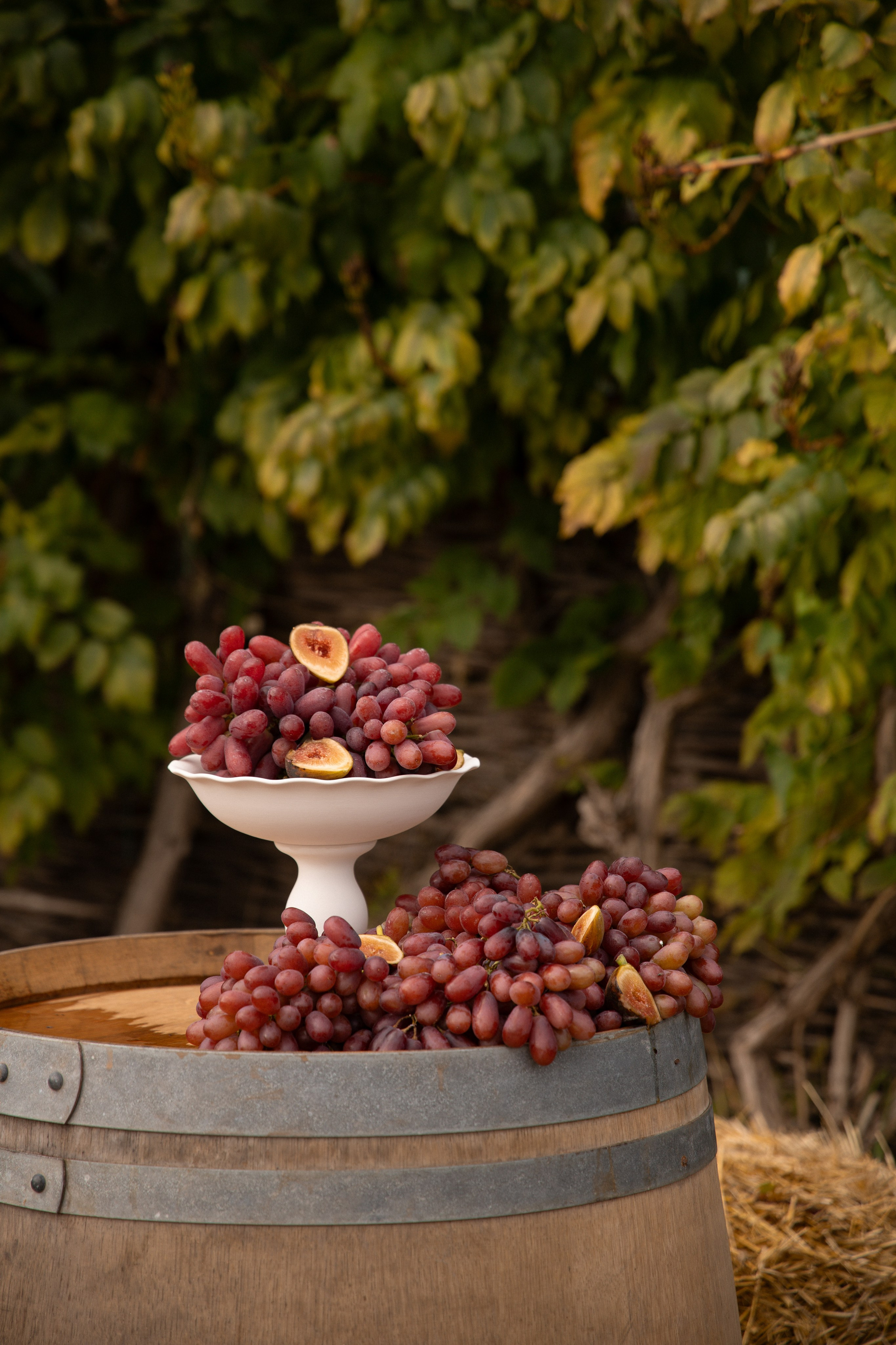 «Красностопъ Золотовский» третий винный фестиваль. Анна Рышкевич