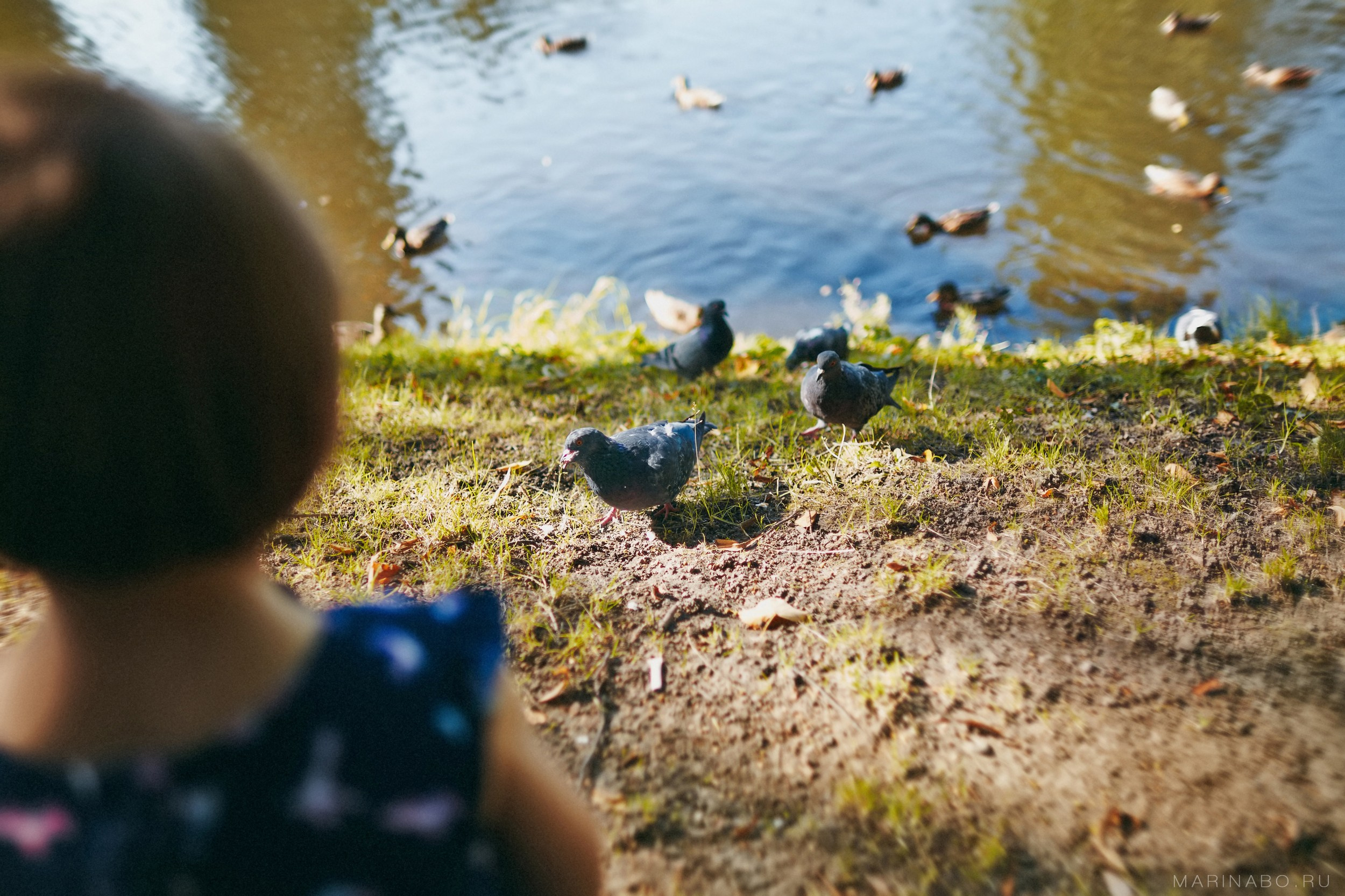 Вечер в Таврике - семейная, Lifestyle фотосессия. Семейный Lifestyle фотограф в Санкт-Петербурге Марина Бокшицкая