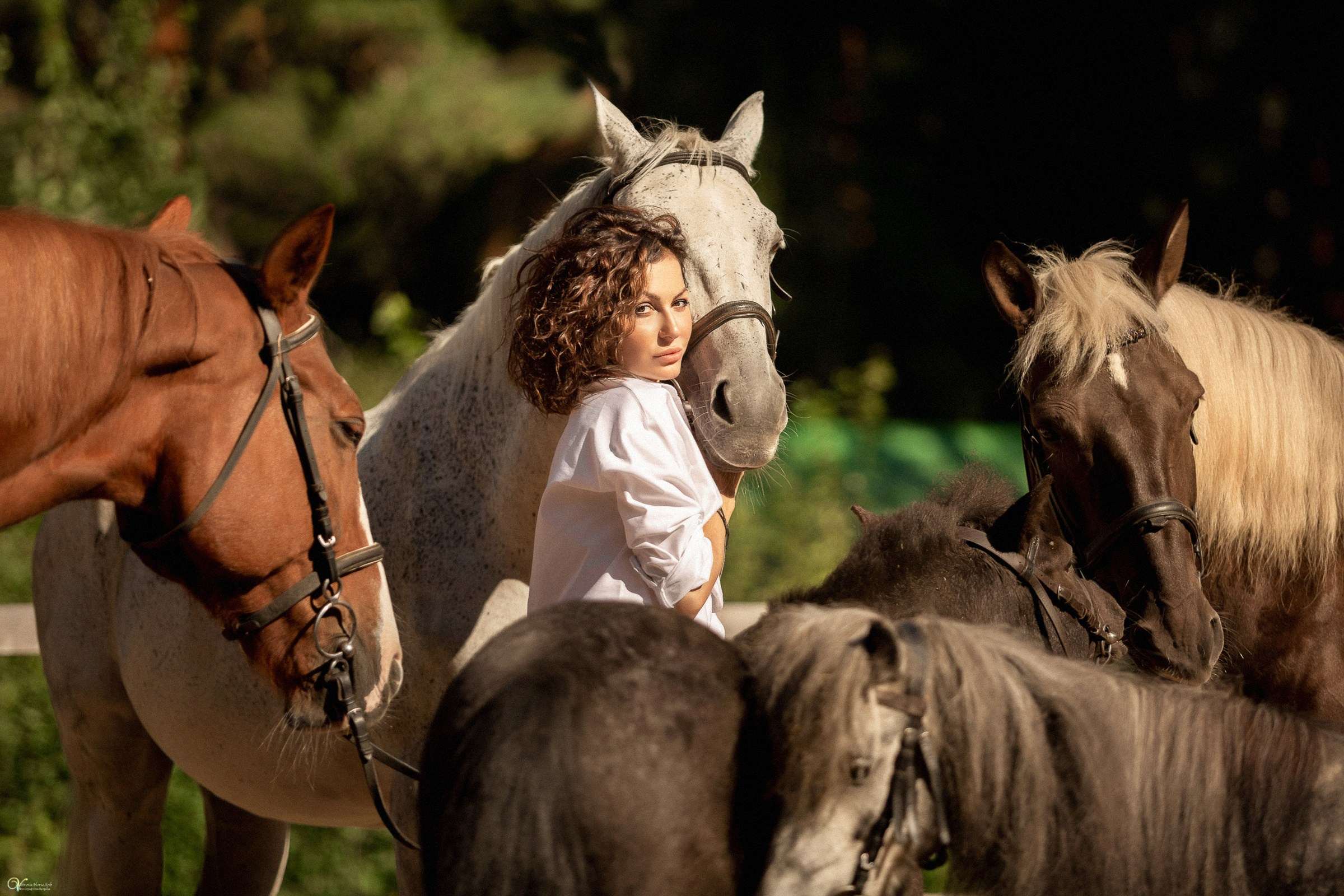 Фотосессии с лошадьми летом. Фотограф женский и мужской портрет Санкт-Петербург
