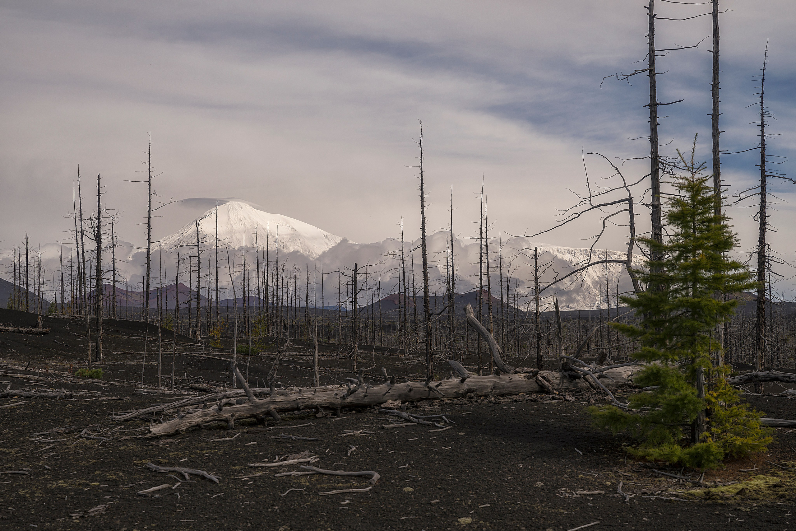 Камчатка. Портретный фотограф в Челябинске Катерина Руди