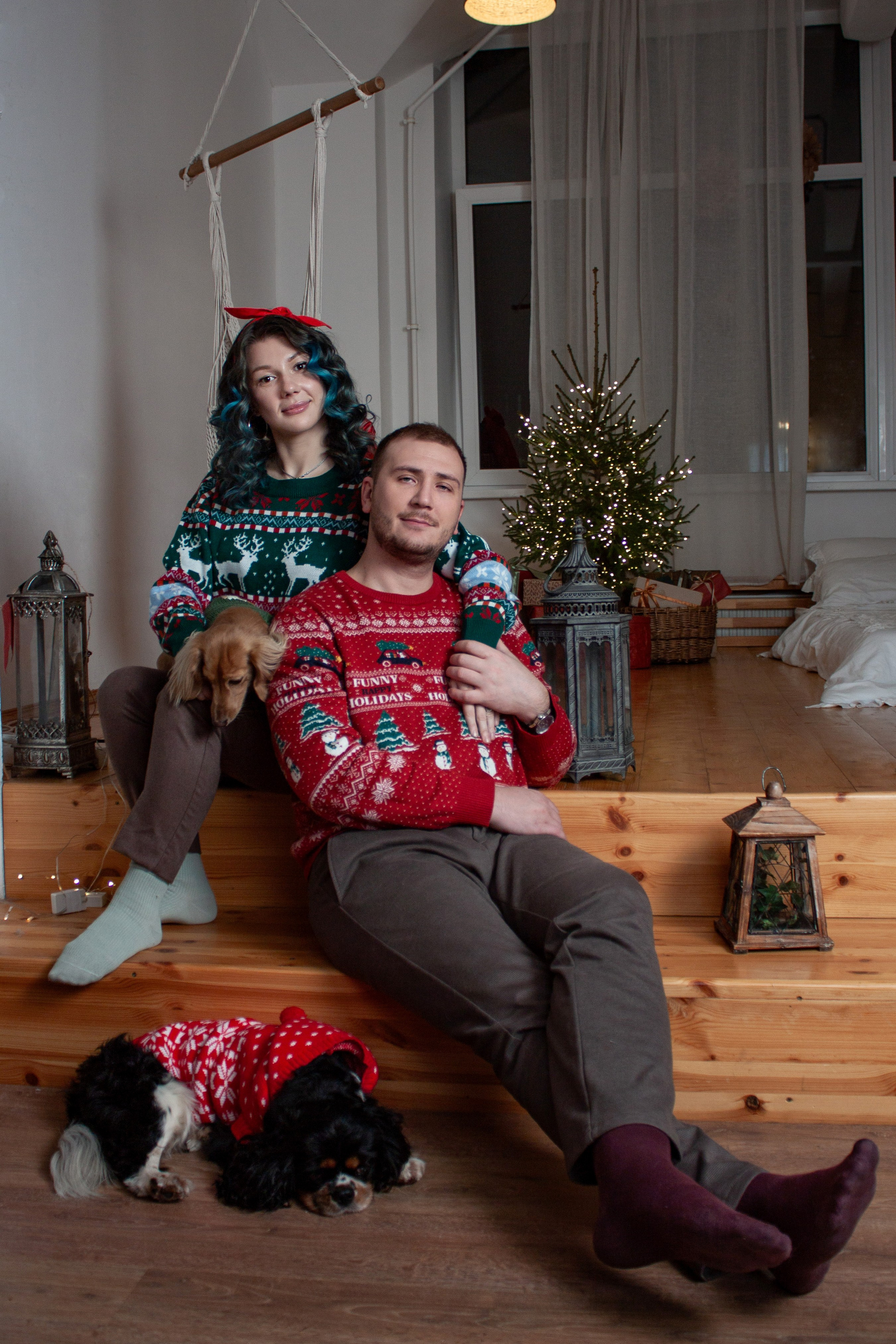 Новогодние собаки. Фотограф в Санкт-Петербурге Рейдер Дарья