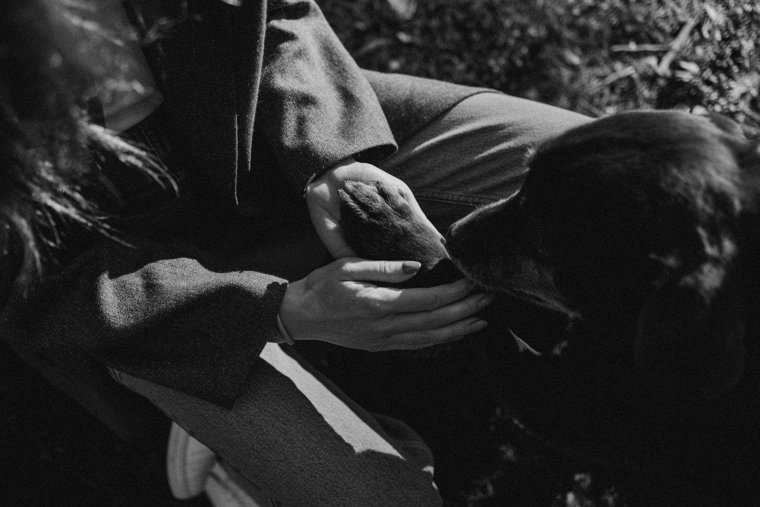 Оля и Питоня. Фотограф — Анималист | Санкт-Петербург