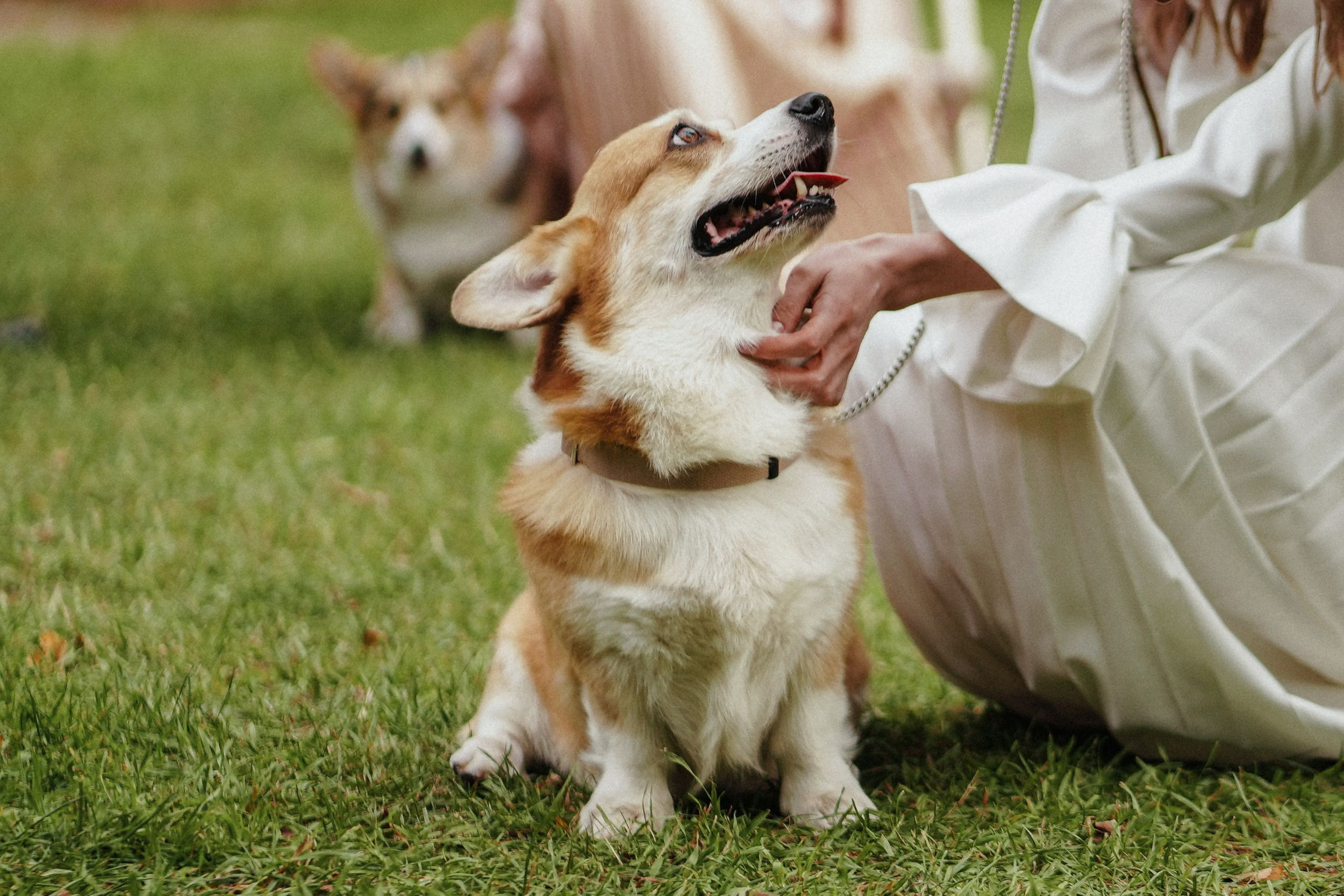 Eva — Mark. Elopement Wedding Photographer