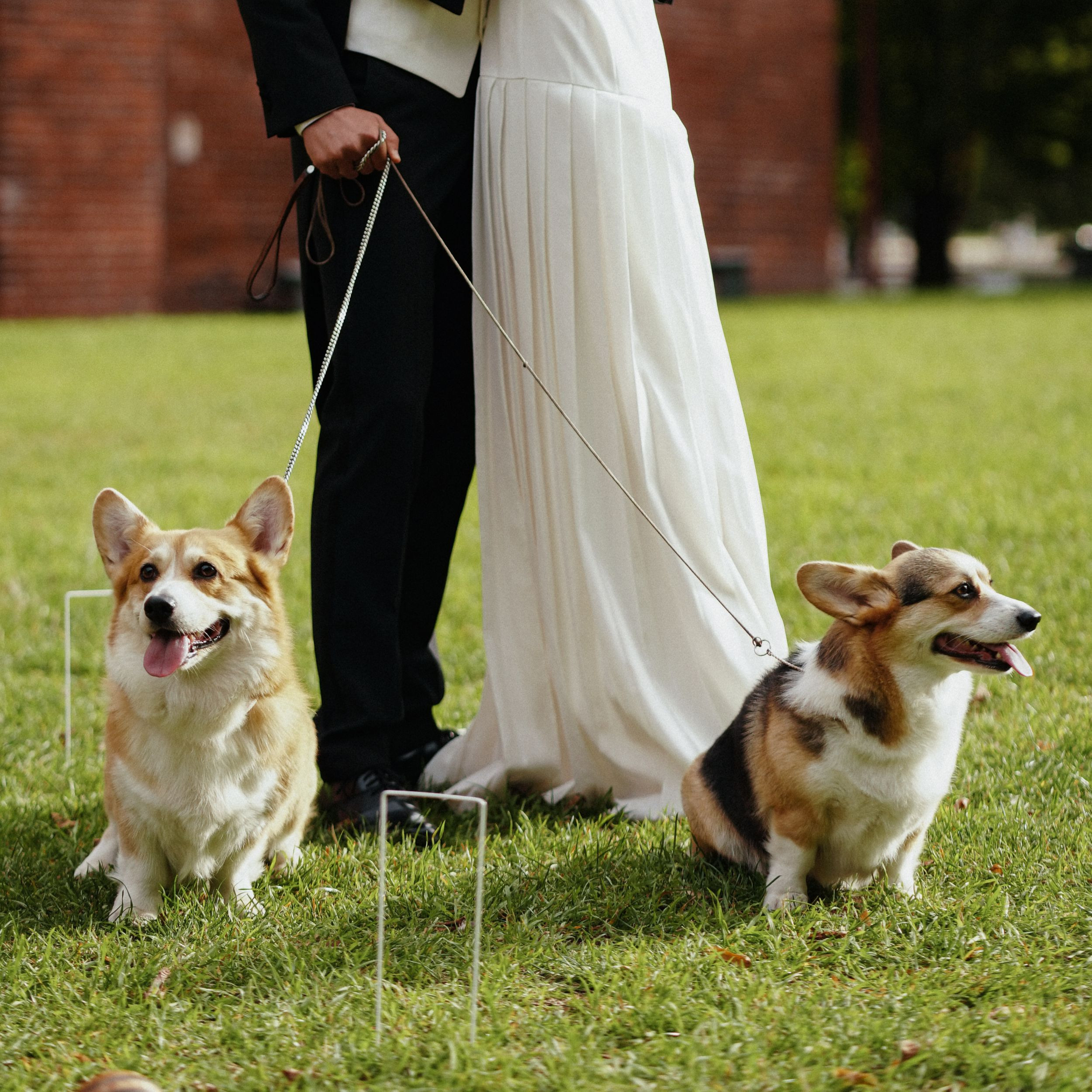 Eva — Mark. Elopement Wedding Photographer