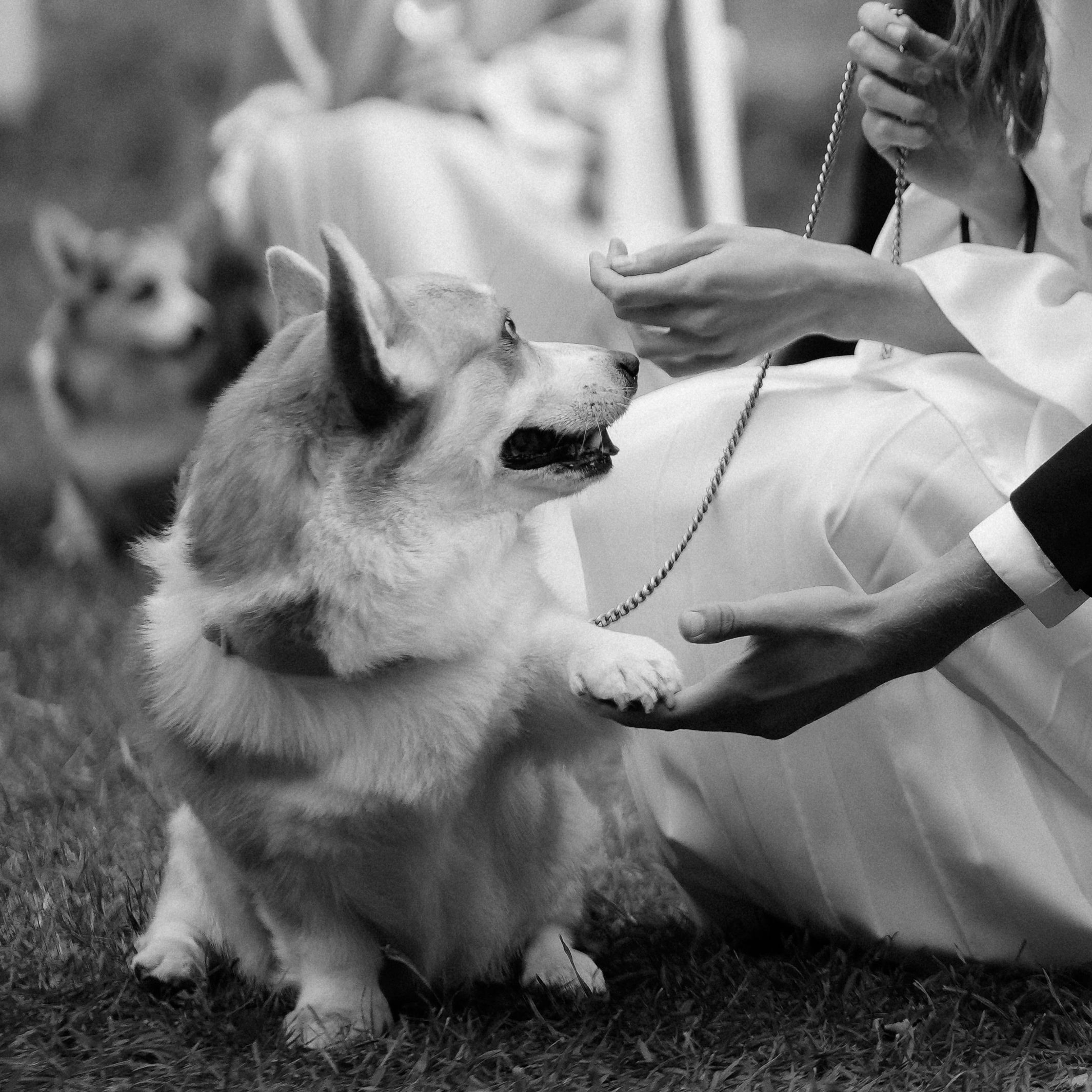 Eva — Mark. Elopement Wedding Photographer