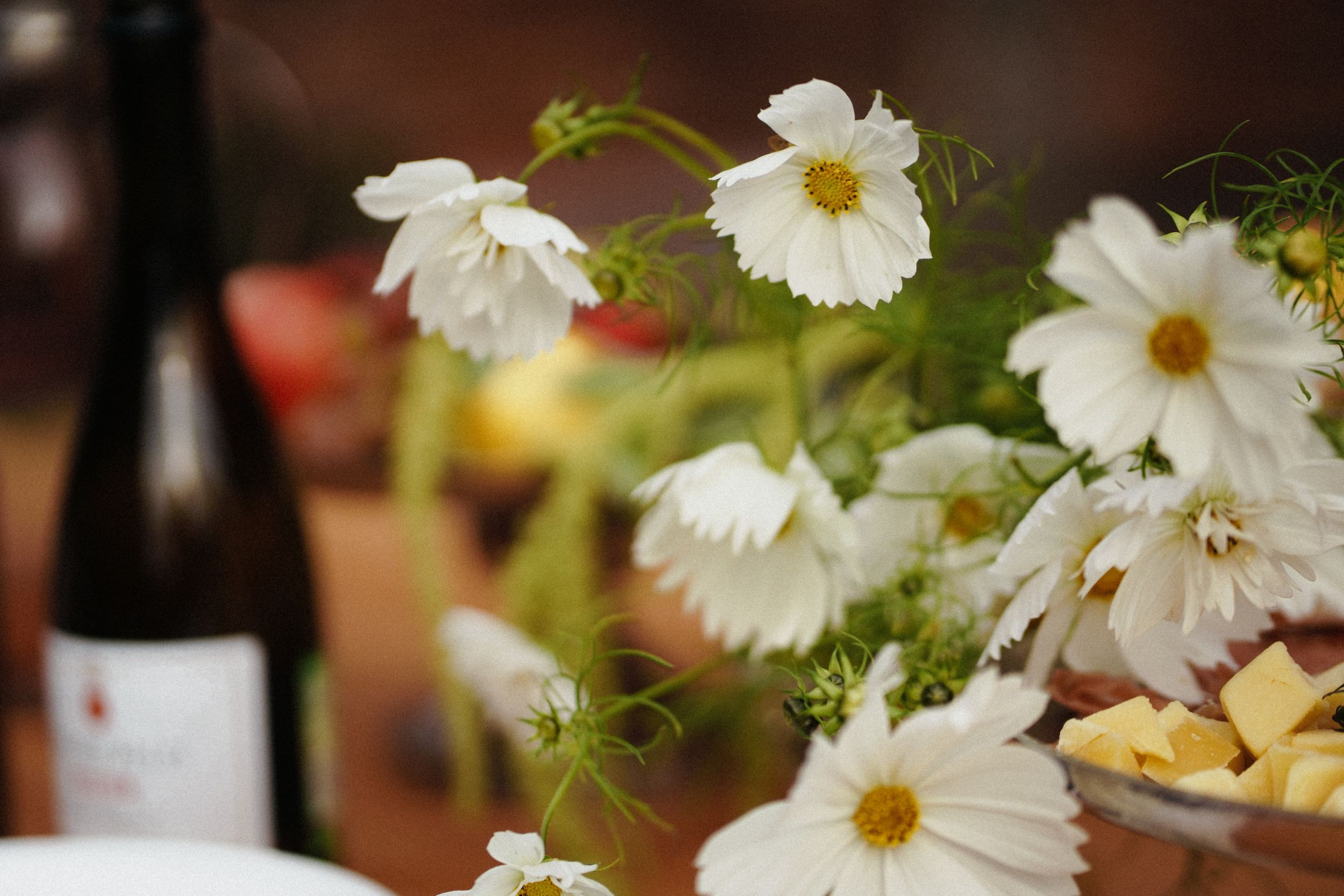 Eva — Mark. Elopement Wedding Photographer