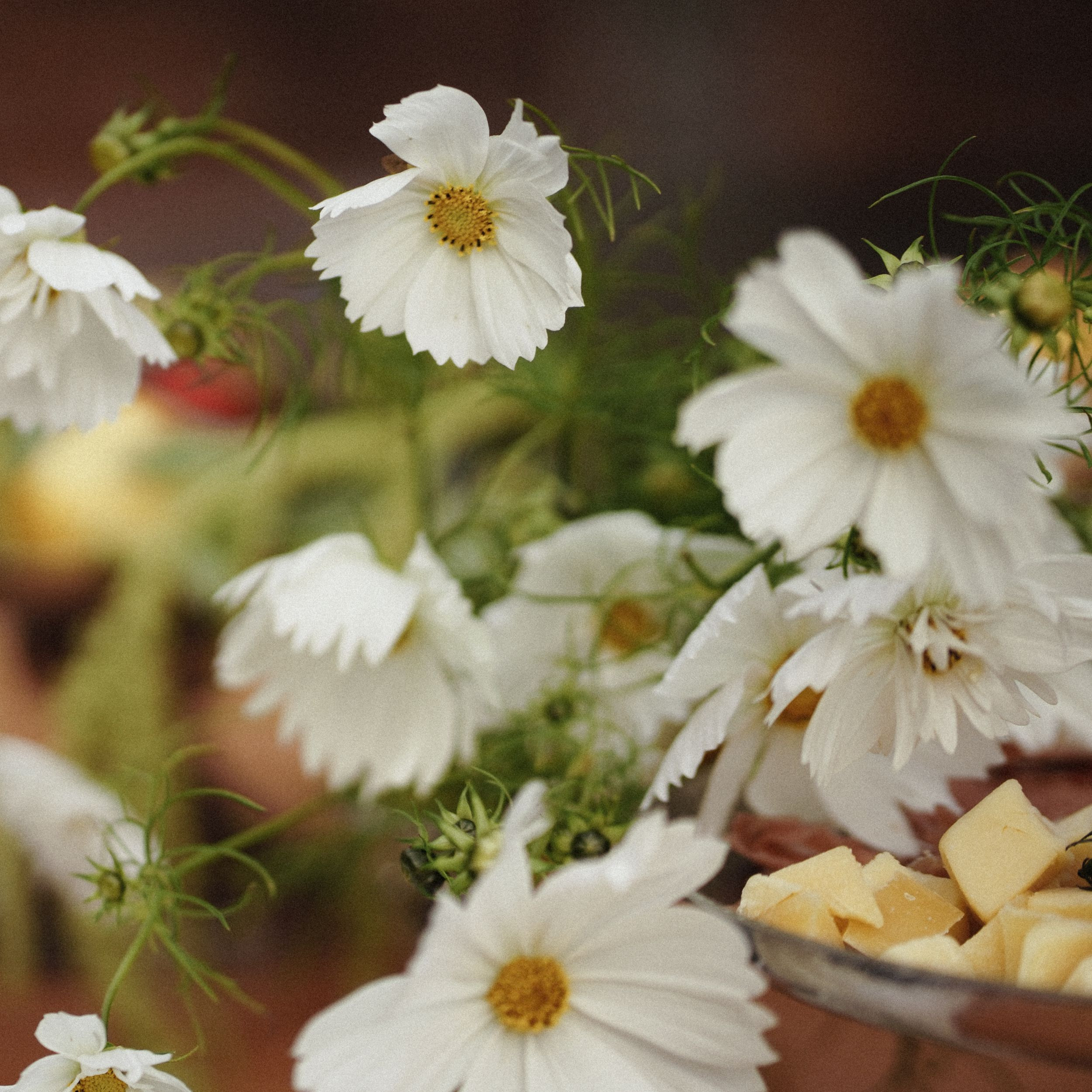 Eva — Mark. Elopement Wedding Photographer