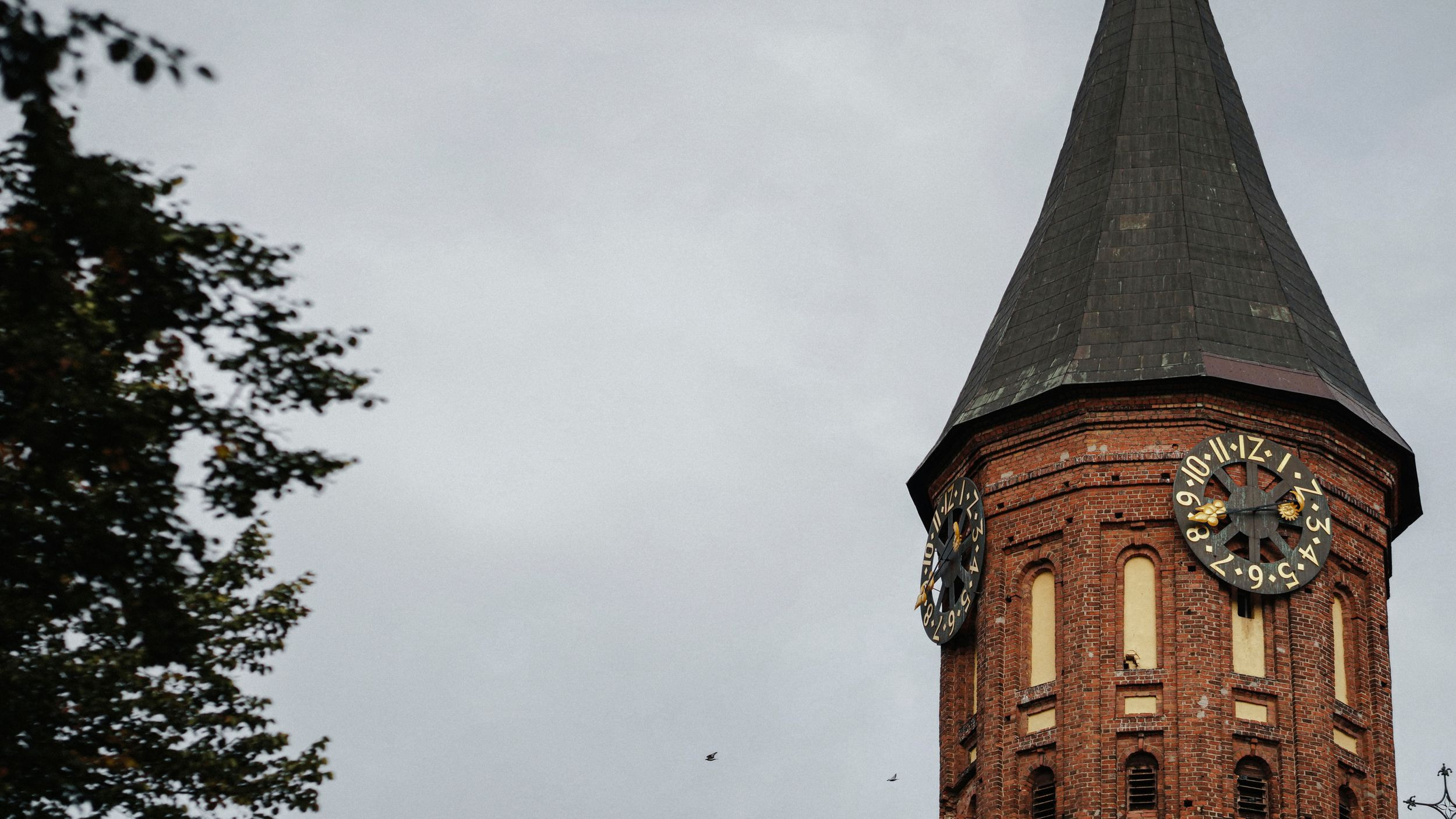 Eva — Mark. Elopement Wedding Photographer