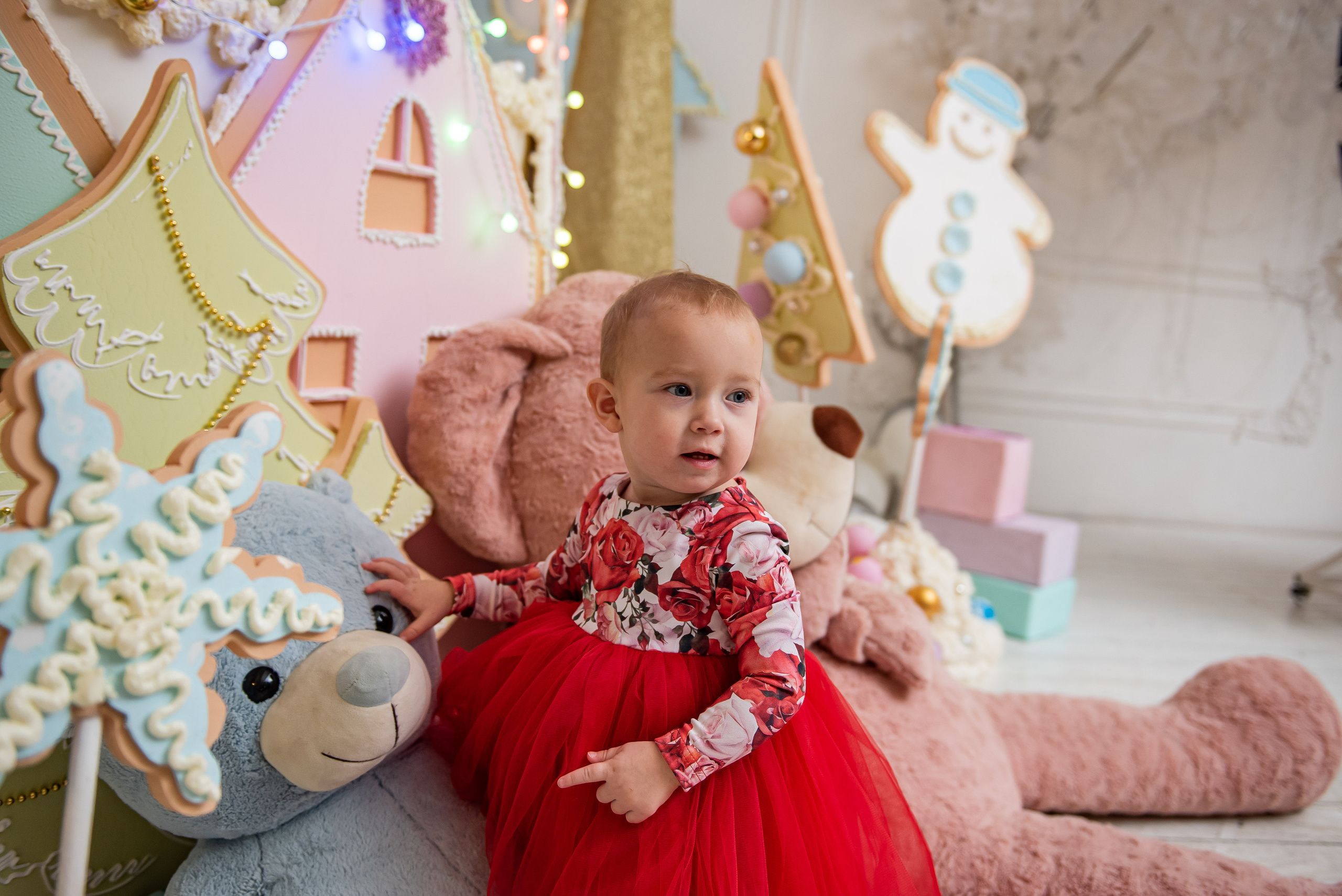 Студия. Свадебный и семейный фотограф в Жуковском и Москве Анастасия Петрова