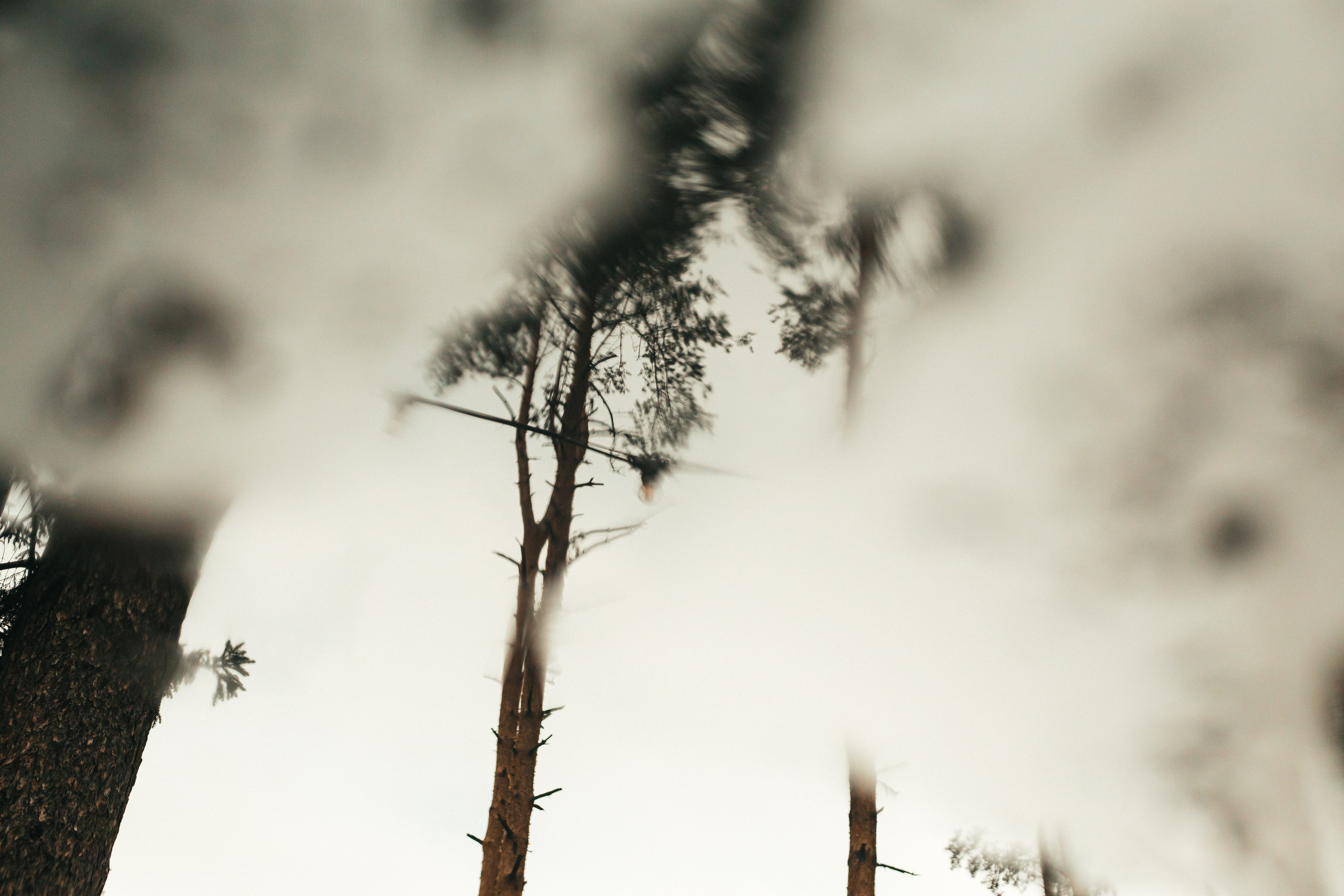 Тимбилдинг «Пираты». Фотограф в Санкт-Петербурге Виктория Безверхая