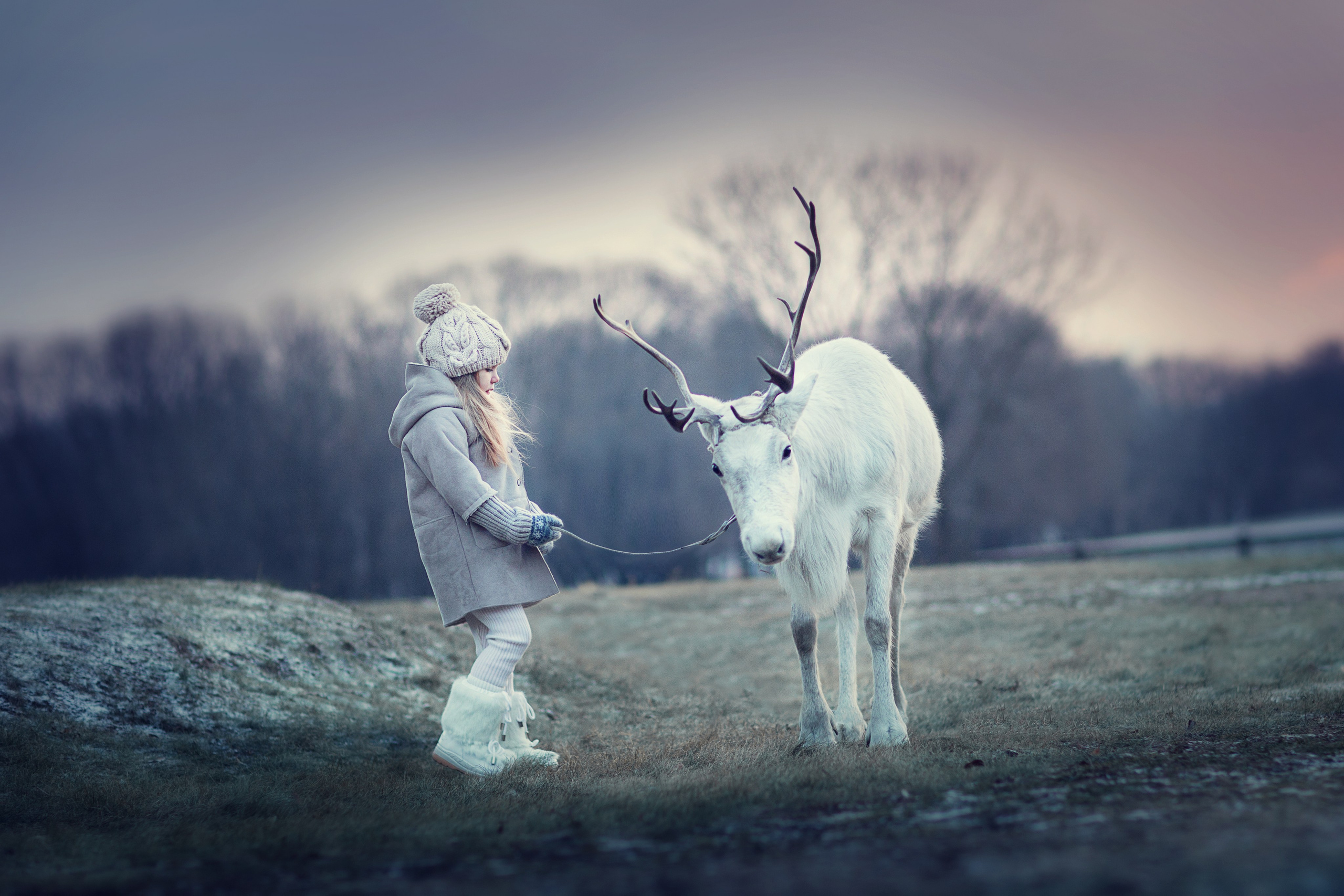 Портфолио. Карнеева Елена. Детский, семейный фотограф