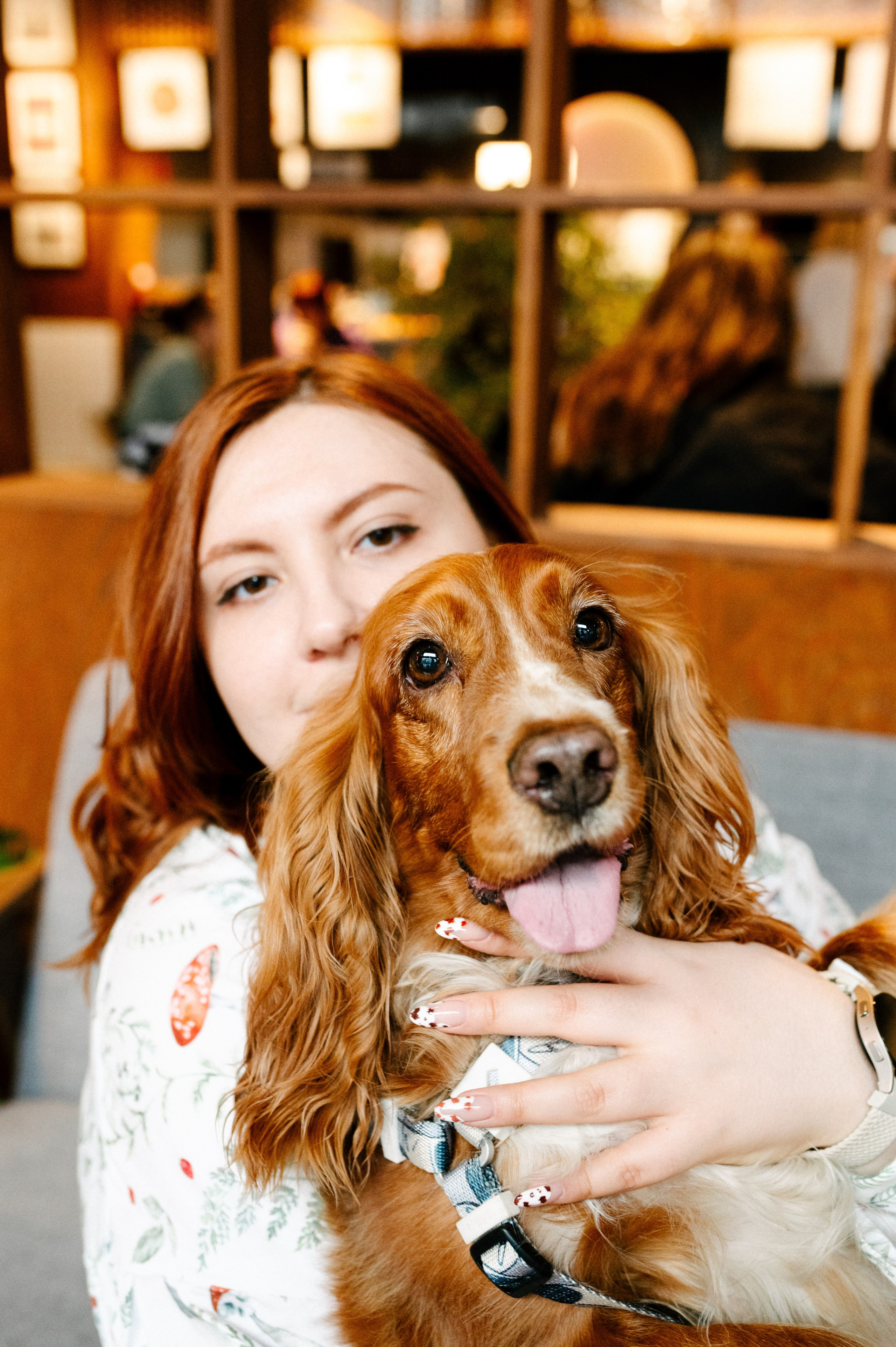 Рыжая команда. Фотограф анималист в Москве Ольга Агушева