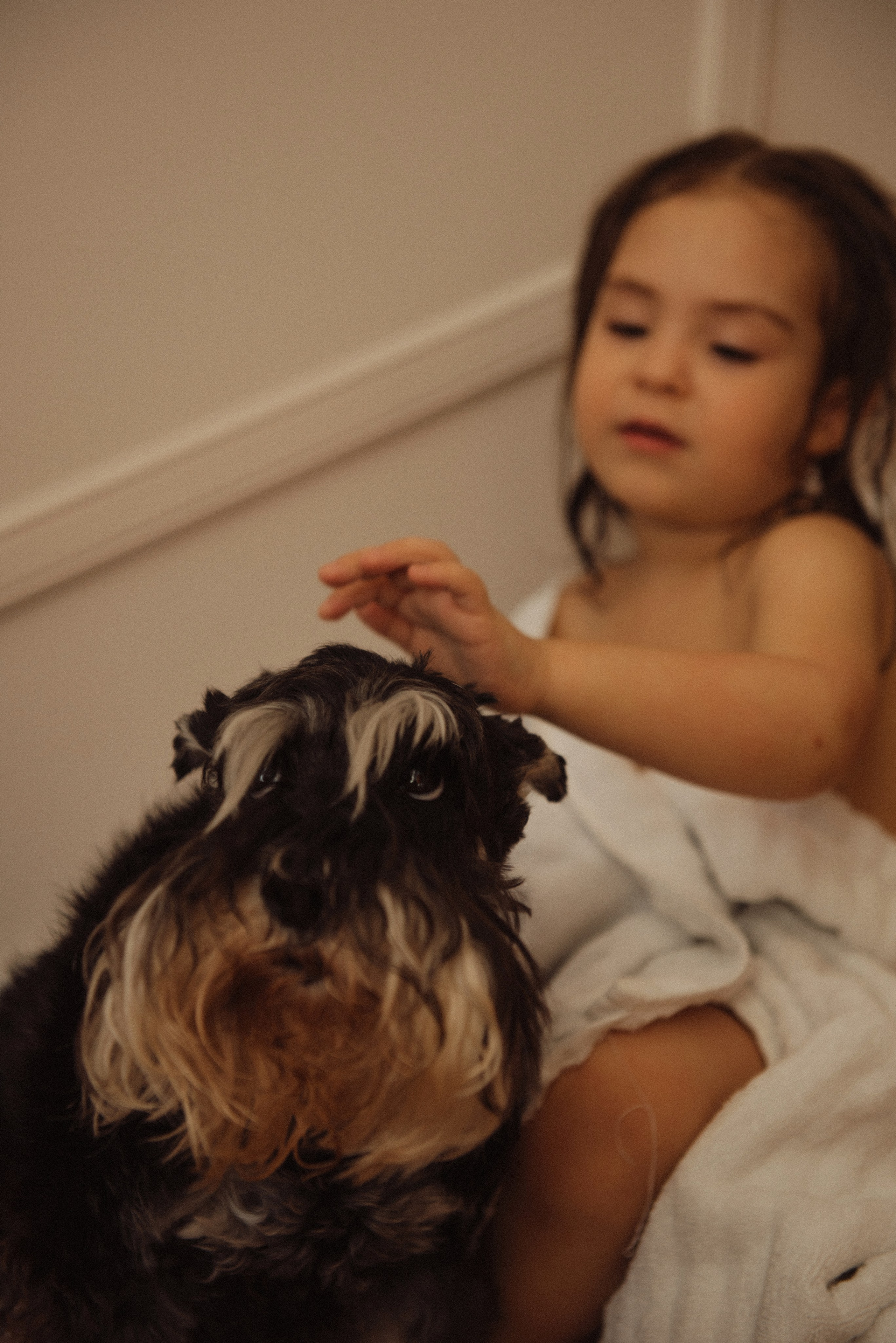 Юля, Аня и хвостики. Свадебный, портретный, фотограф беременности в Нижнем Новгороде Алина Зиновьева