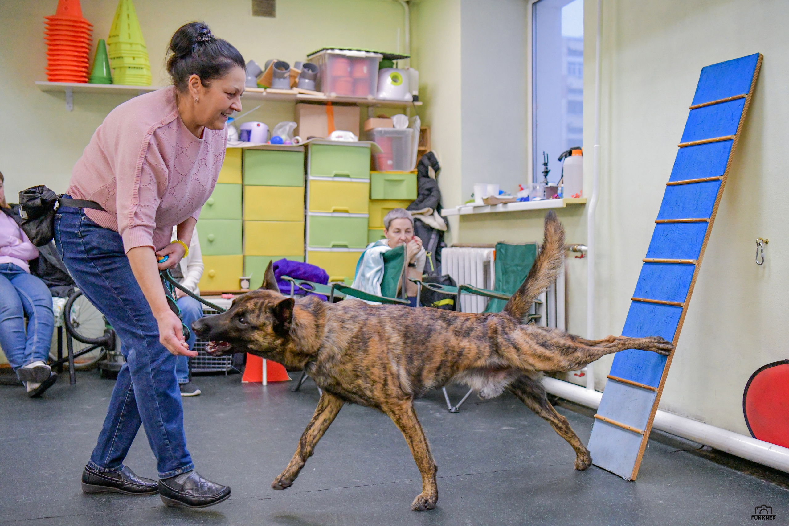 Кинологический клуб «Бодрый хвост». Свой взгляд через объектив