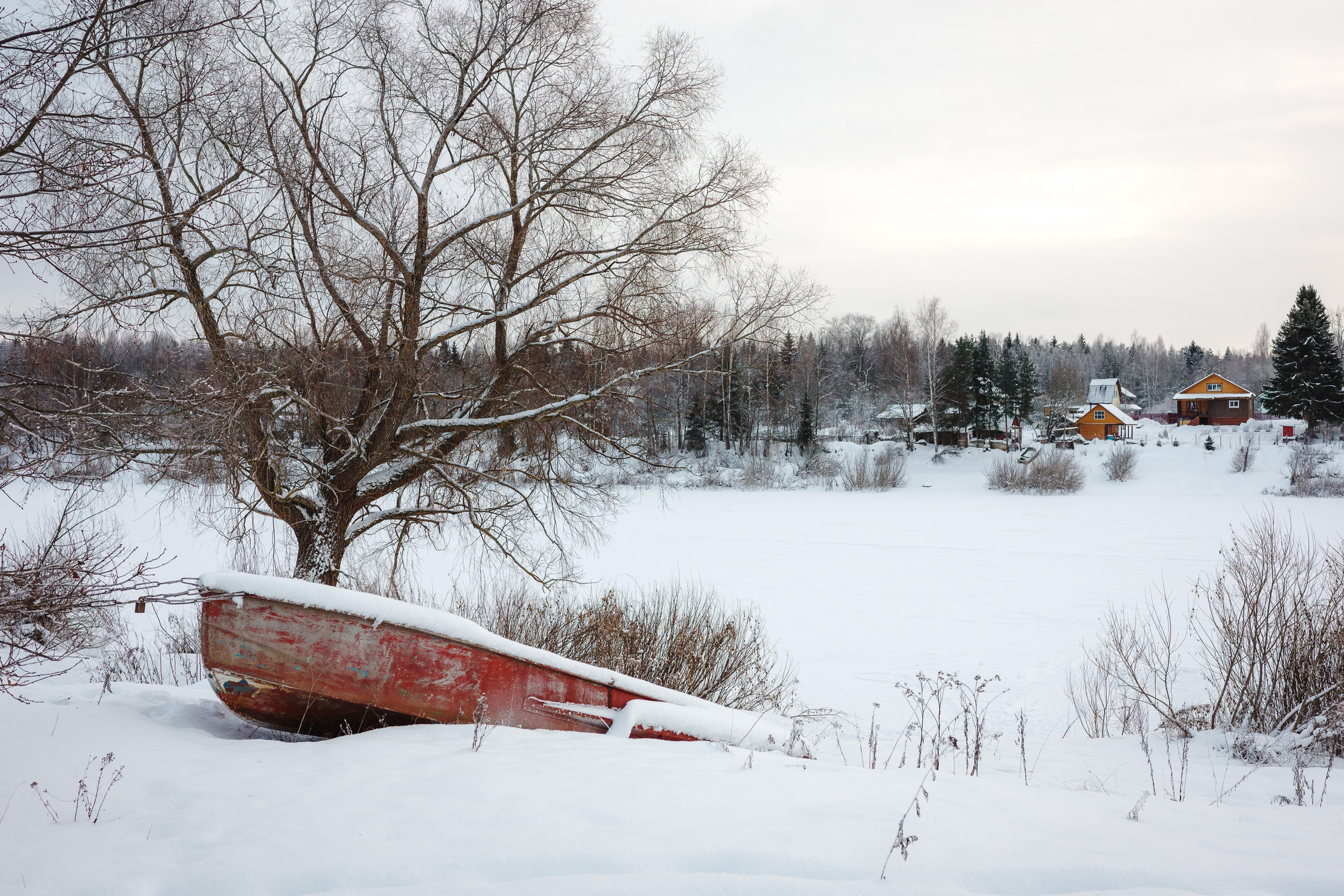 2024.01. Фотограф Алексей Алексеев