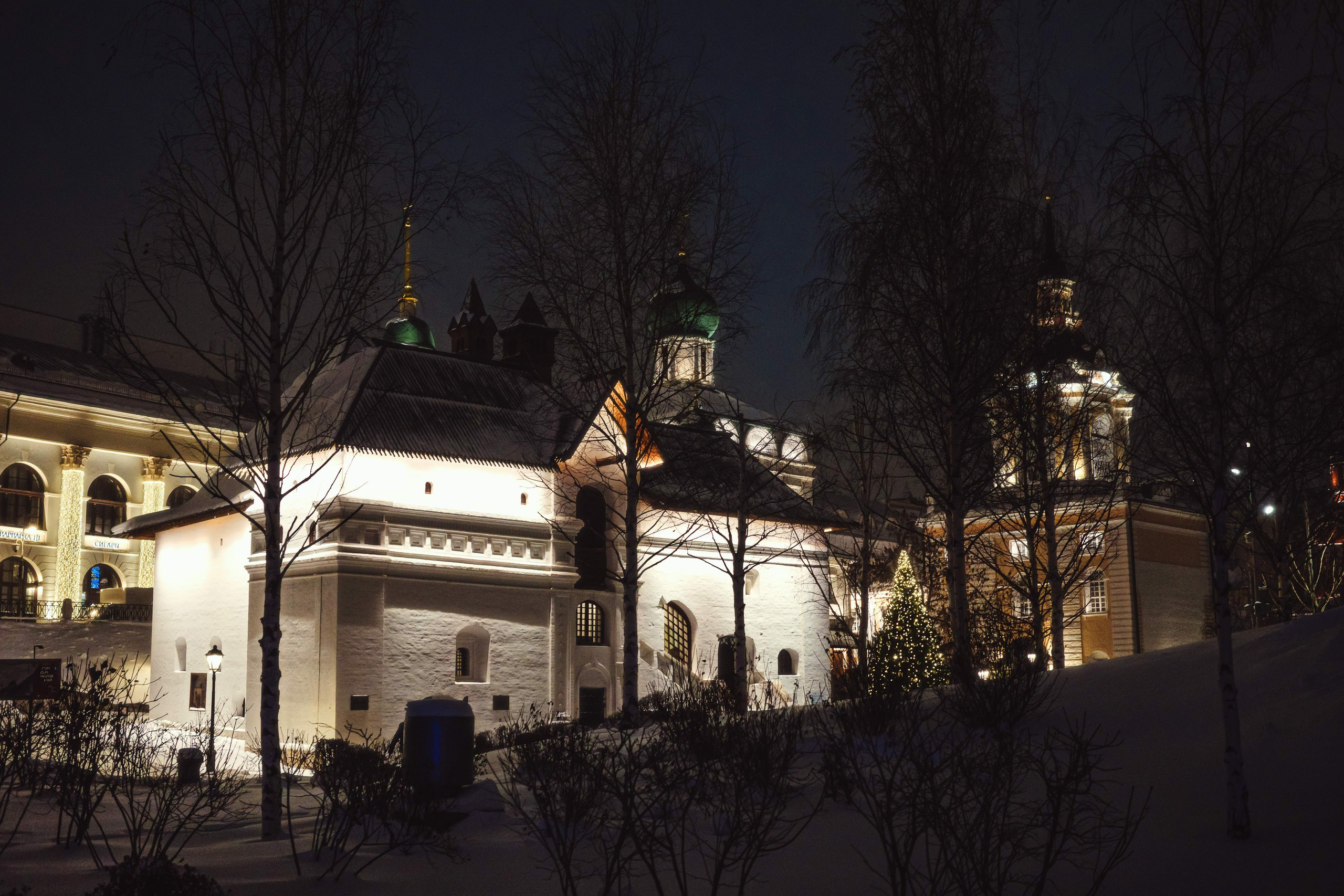 2023.12. Фотограф Алексей Алексеев