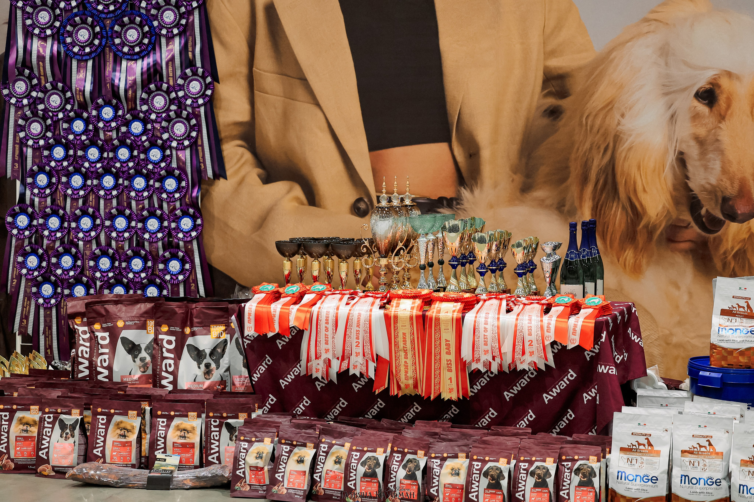 28-29.03.2026 Рейтинговая выставка в Новосибирске. Фотограф Анималист из Новосибирска Татьяна Кауфман