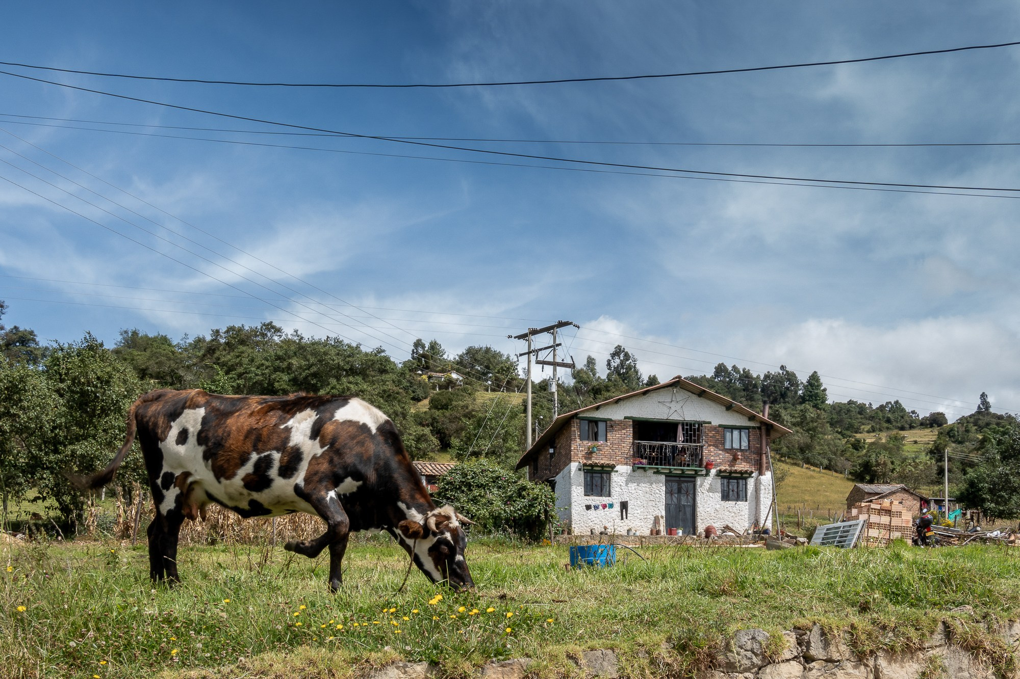 Монги (Mongui). Колумбия (Colombia). Фотограф Алексей Скоробогатько